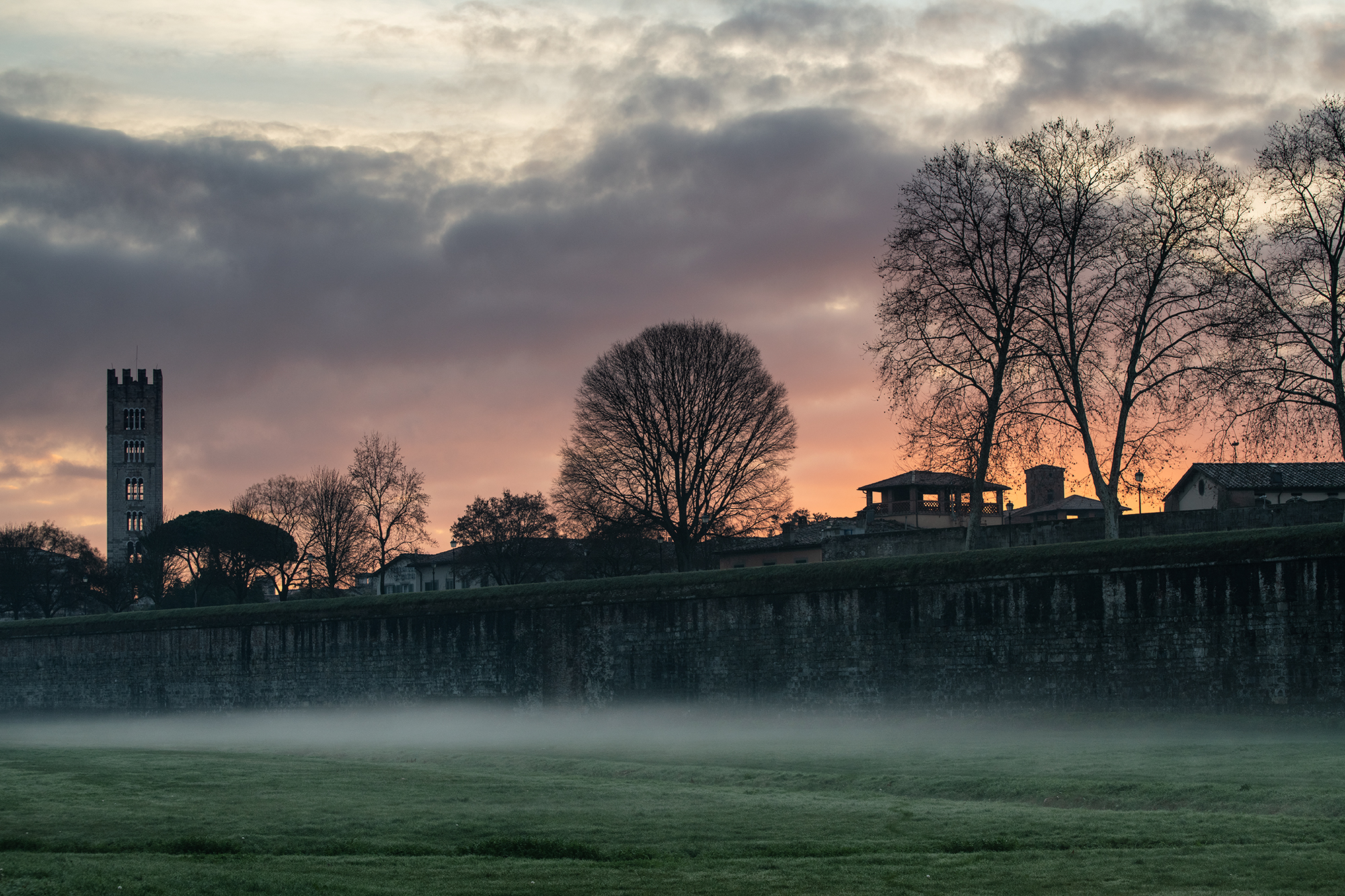 Les remparts historiques de Lucques vus tôt le matin, avec un brouillard bas sur la pelouse au premier plan. En arrière-plan, on distingue des arbres dénudés, des maisons et le clocher de la basilique San Frediano.