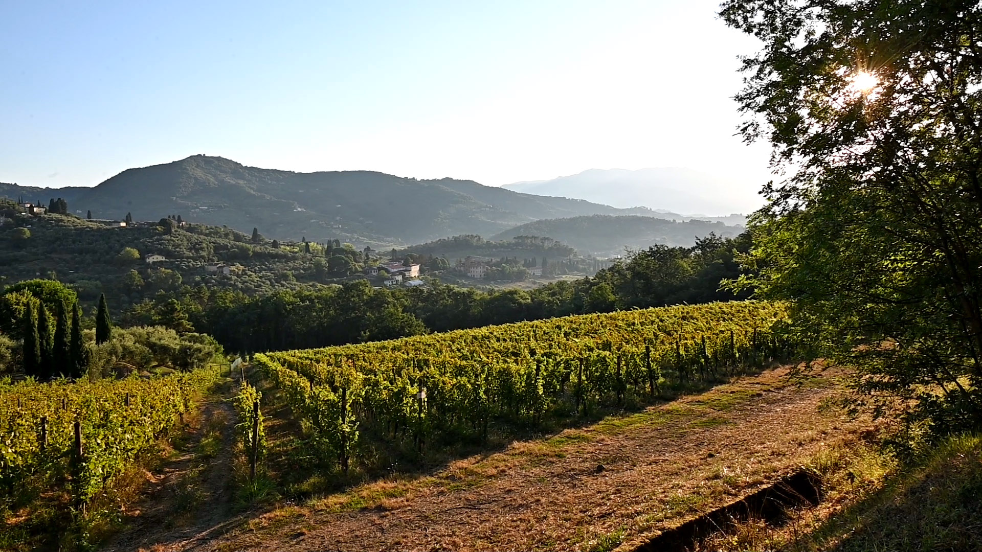 Tour gastronomico a Montecarlo