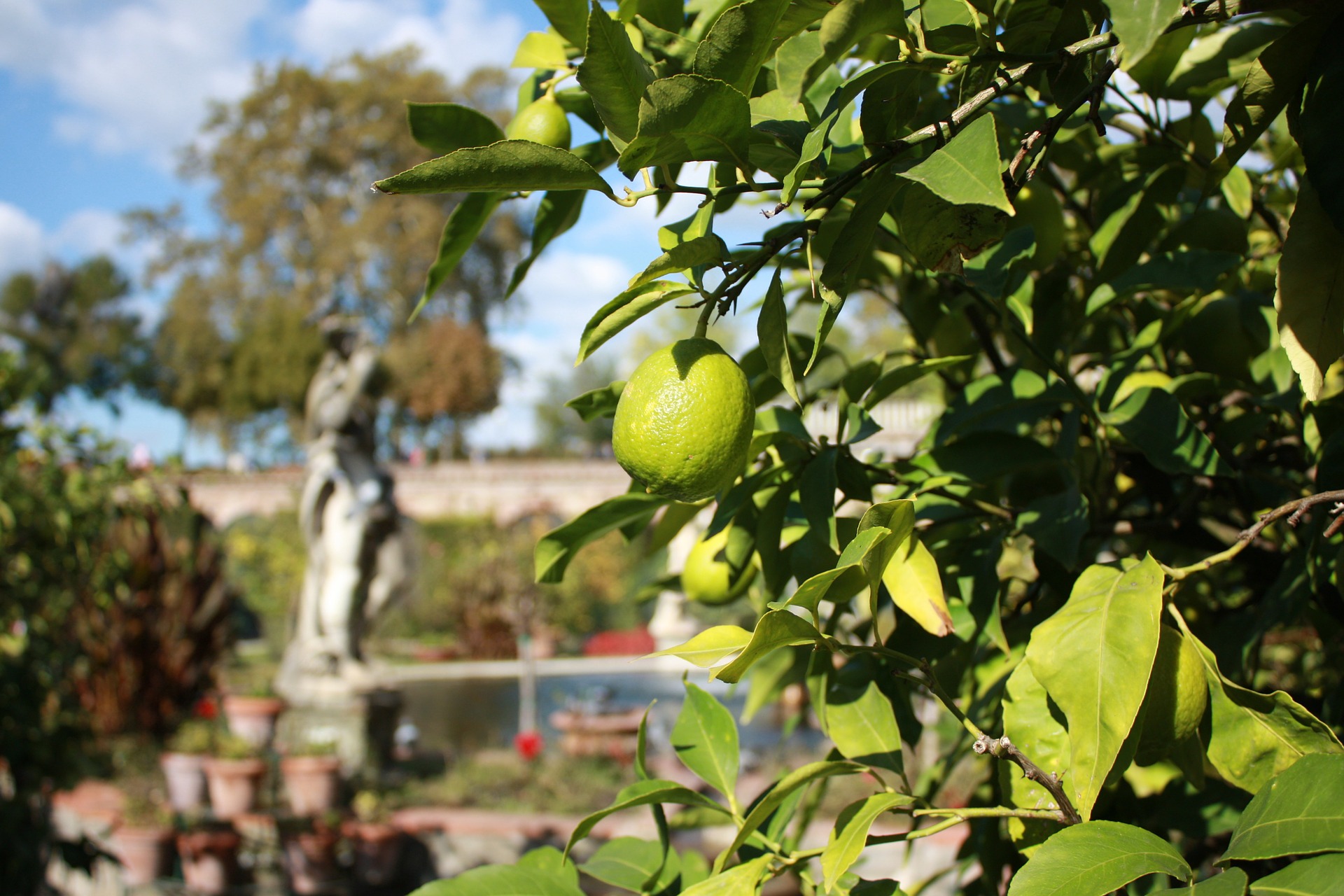 Gardens of Lucca