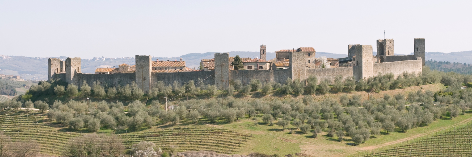 m.-piccardo-9841a.jpg