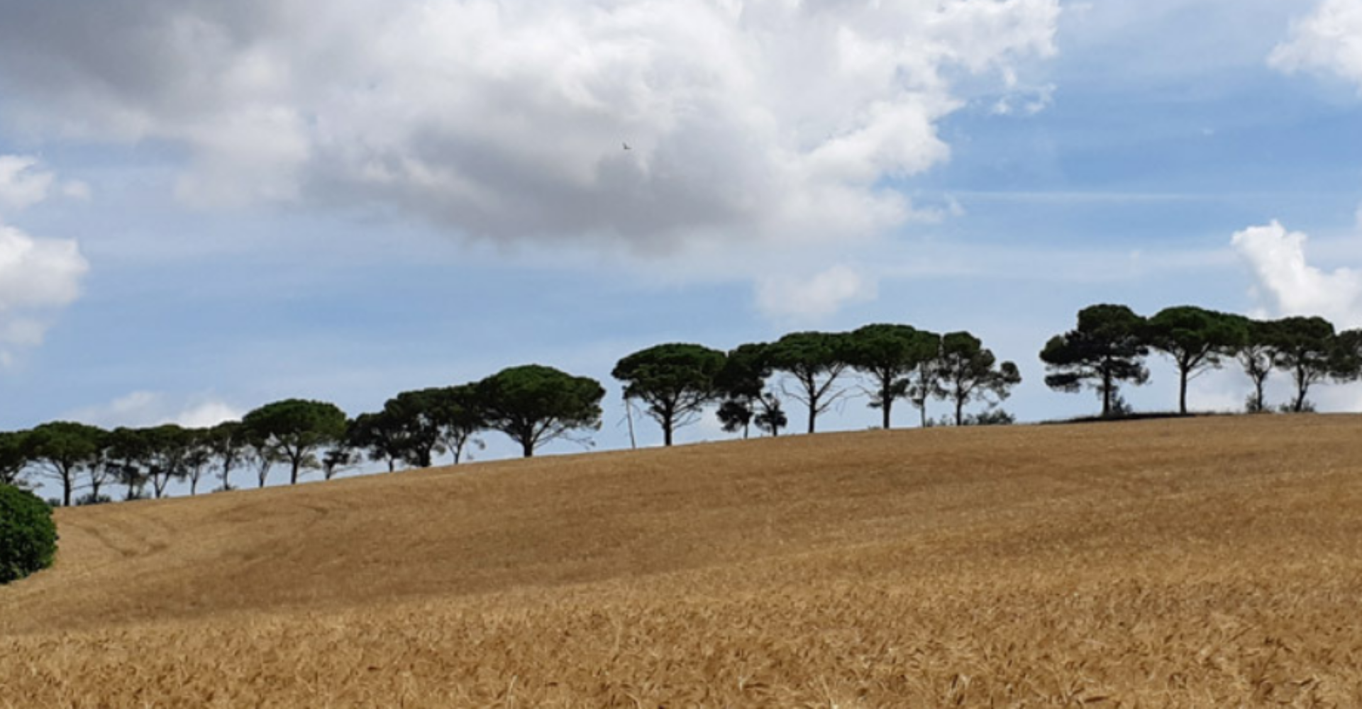 Il paesaggio dei Macchiaioli