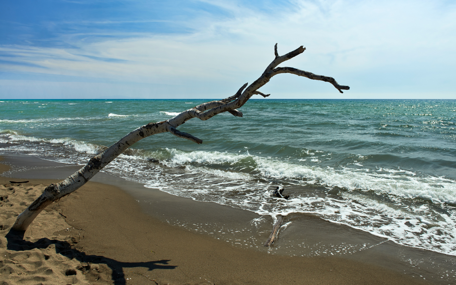 Naturpark der Maremma