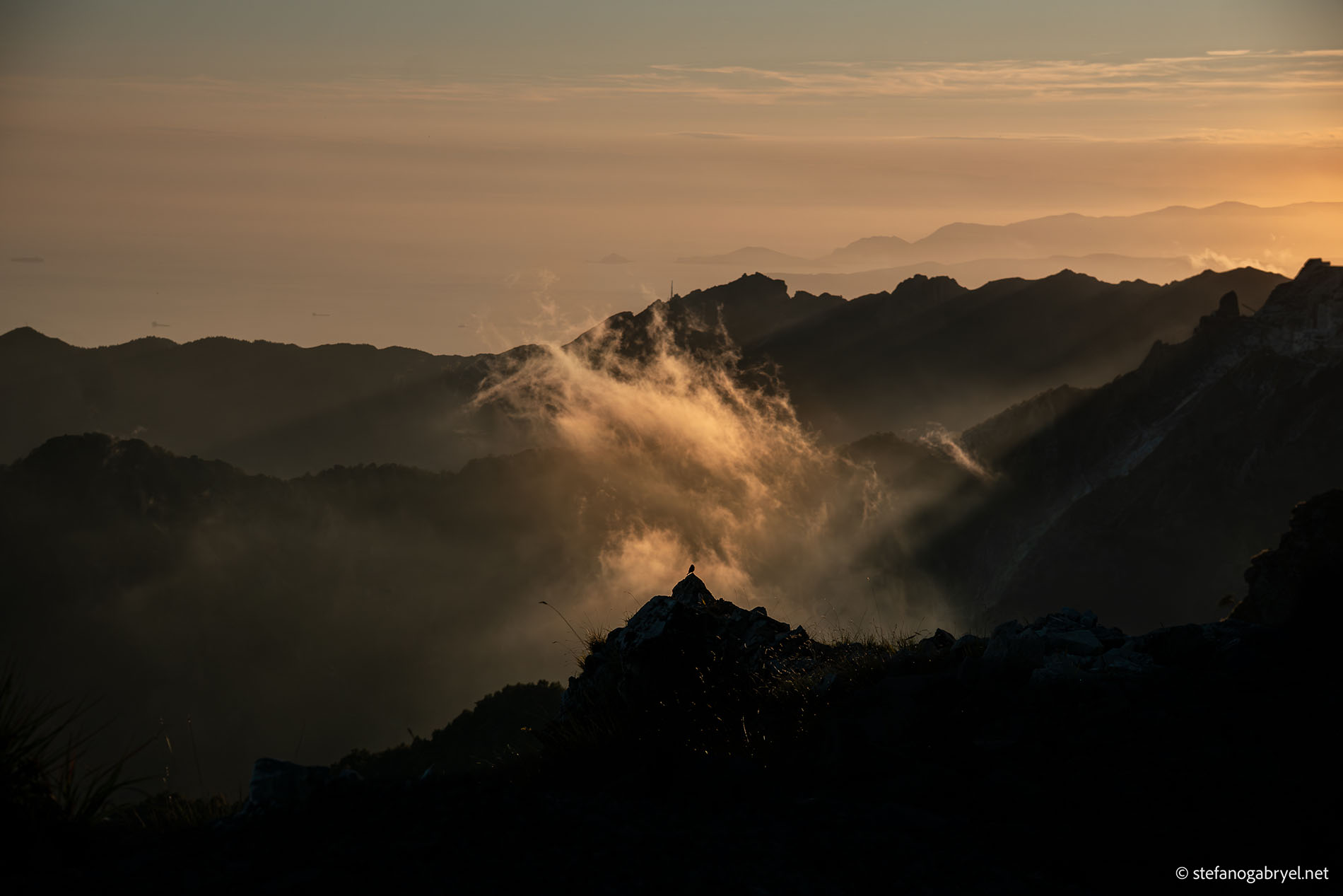 Panoramic view at sunrise from the crests of the Apuan Alps along the Marmifera del Corchia: backlit mountain peaks shrouded in golden mists, a small bird perched on a rocky outcrop in the foreground, and, in the background, the blurred outline of the coast and islands of the Tuscan archipelago