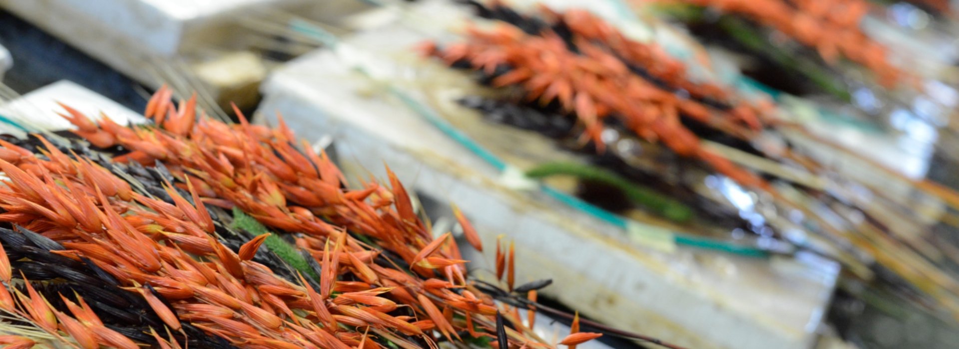 Esperienza creativa con realizzazione artigianale di oggetti in resina a Montespertoli