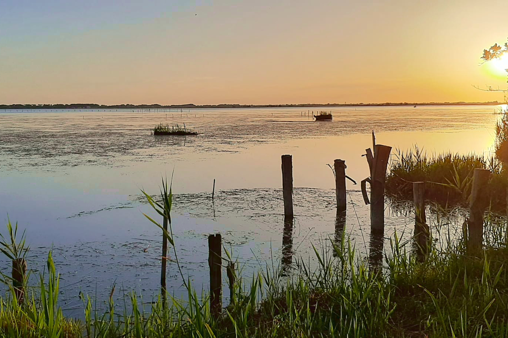 Bike tour to admire the natural oasis of Lake Massaciuccoli