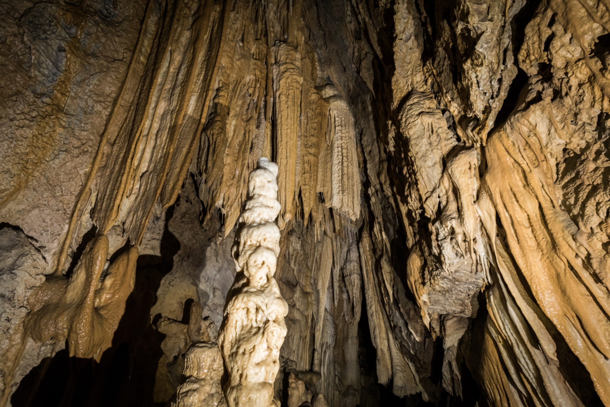 Visite guidate alle grotte di Equi Terme