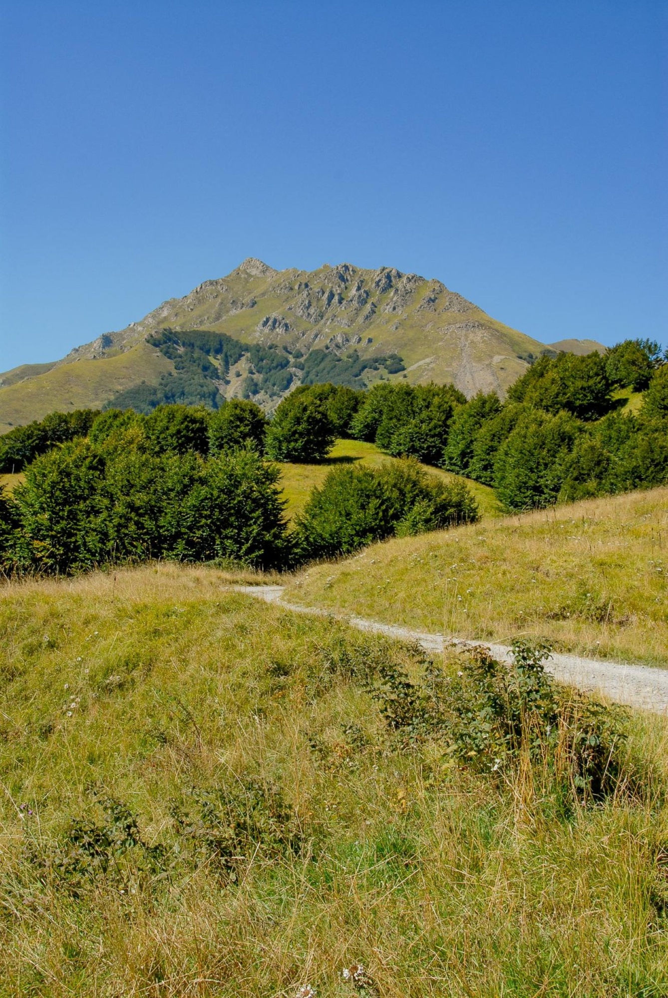 Monte Alto: tra creste panoramiche e natura selvaggia