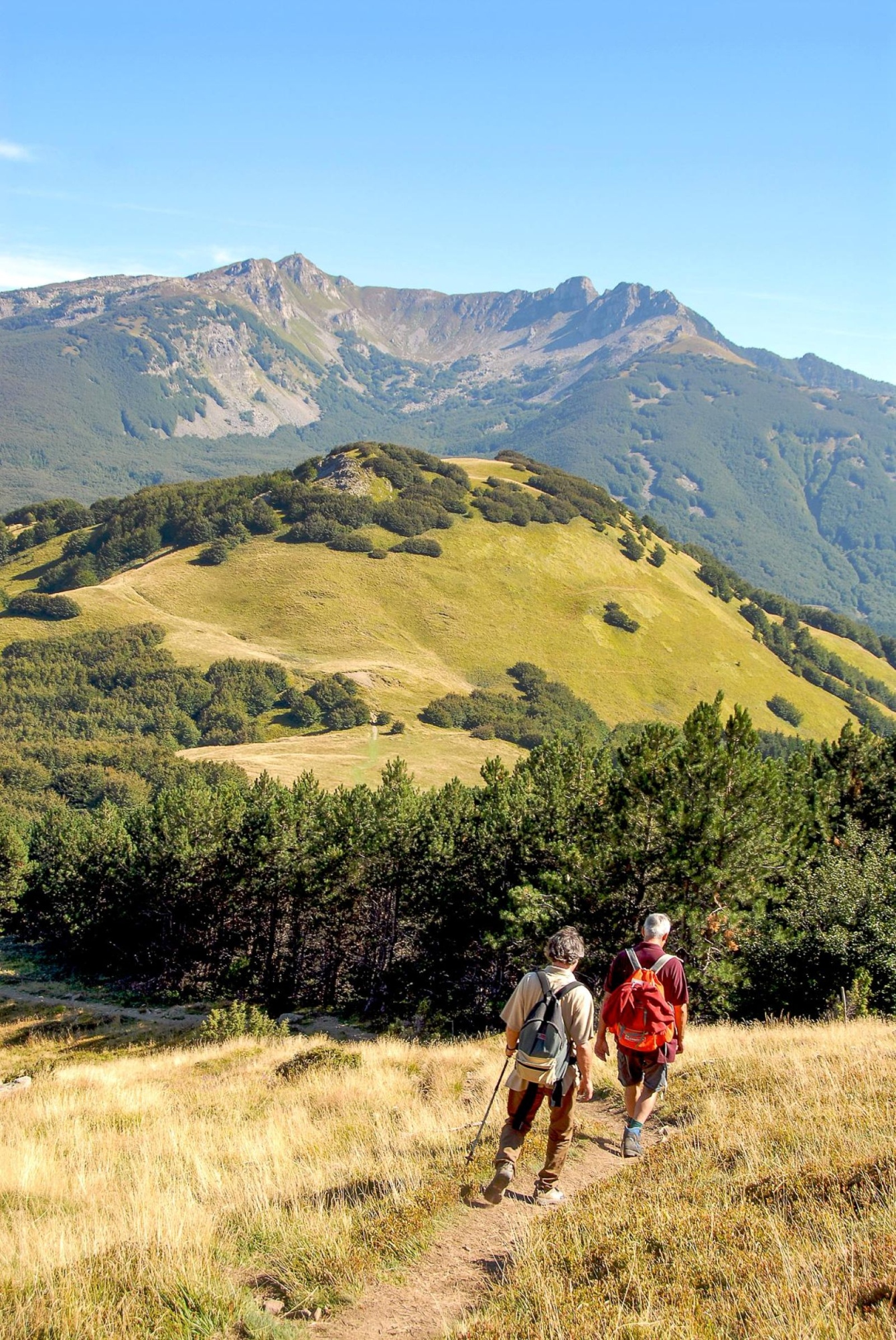 Monte Alto: tra creste panoramiche e natura selvaggia