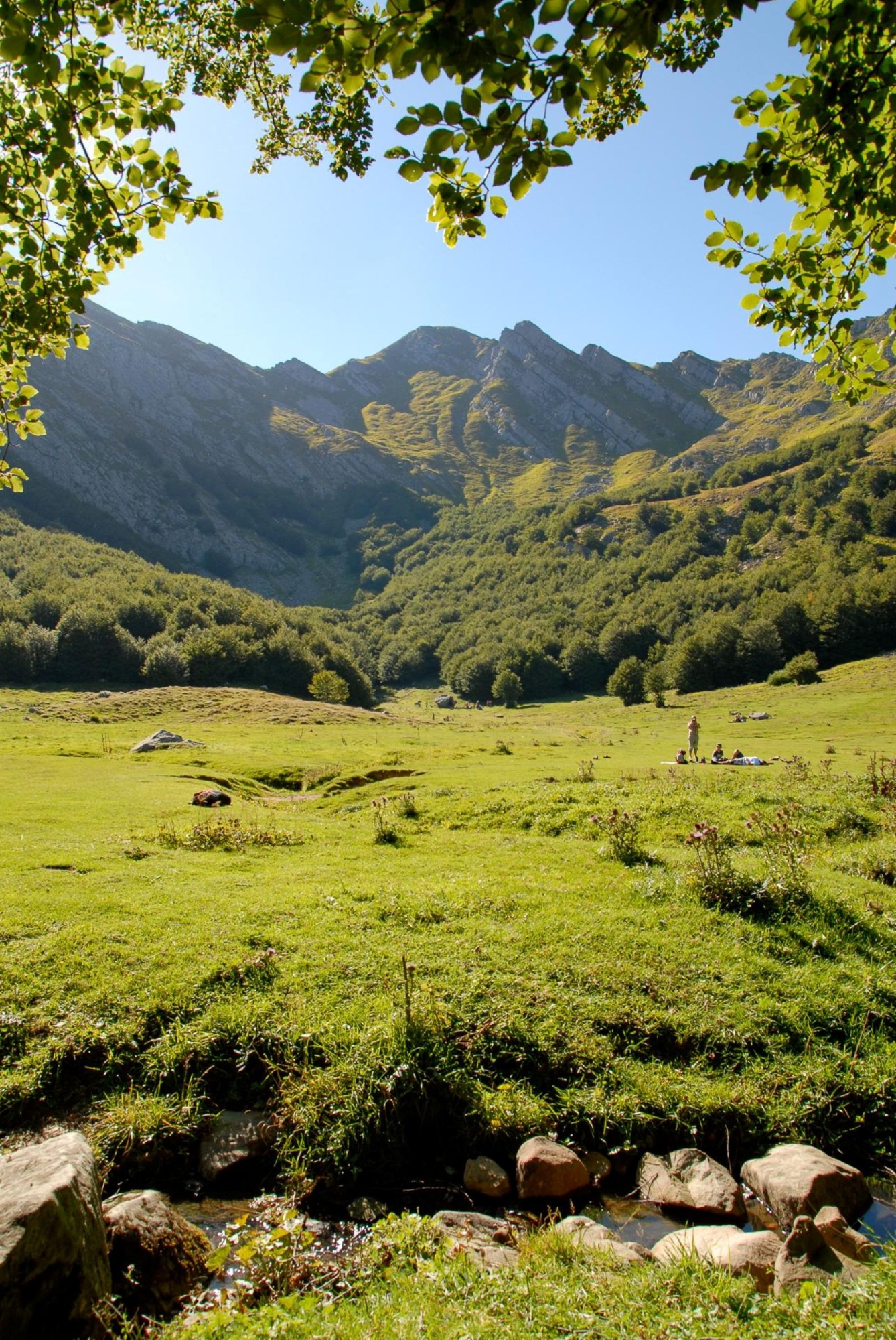Monte Alto: tra creste panoramiche e natura selvaggia