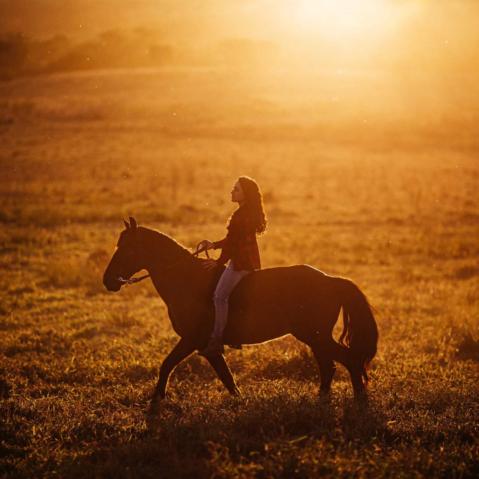 Passeggiata a cavallo: la Certosa di Calci al tramonto