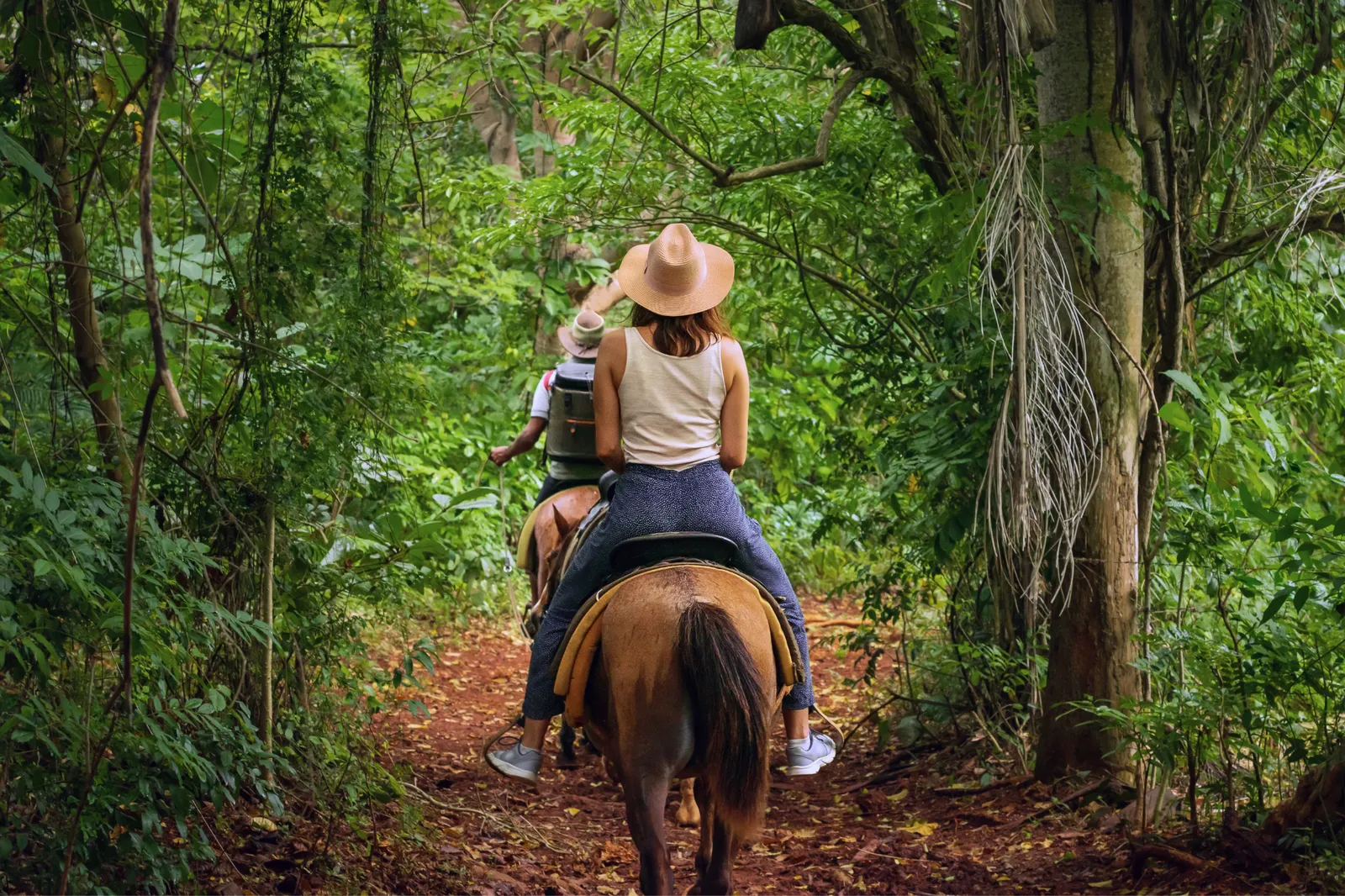 Horseback ride in the Crespignano loop