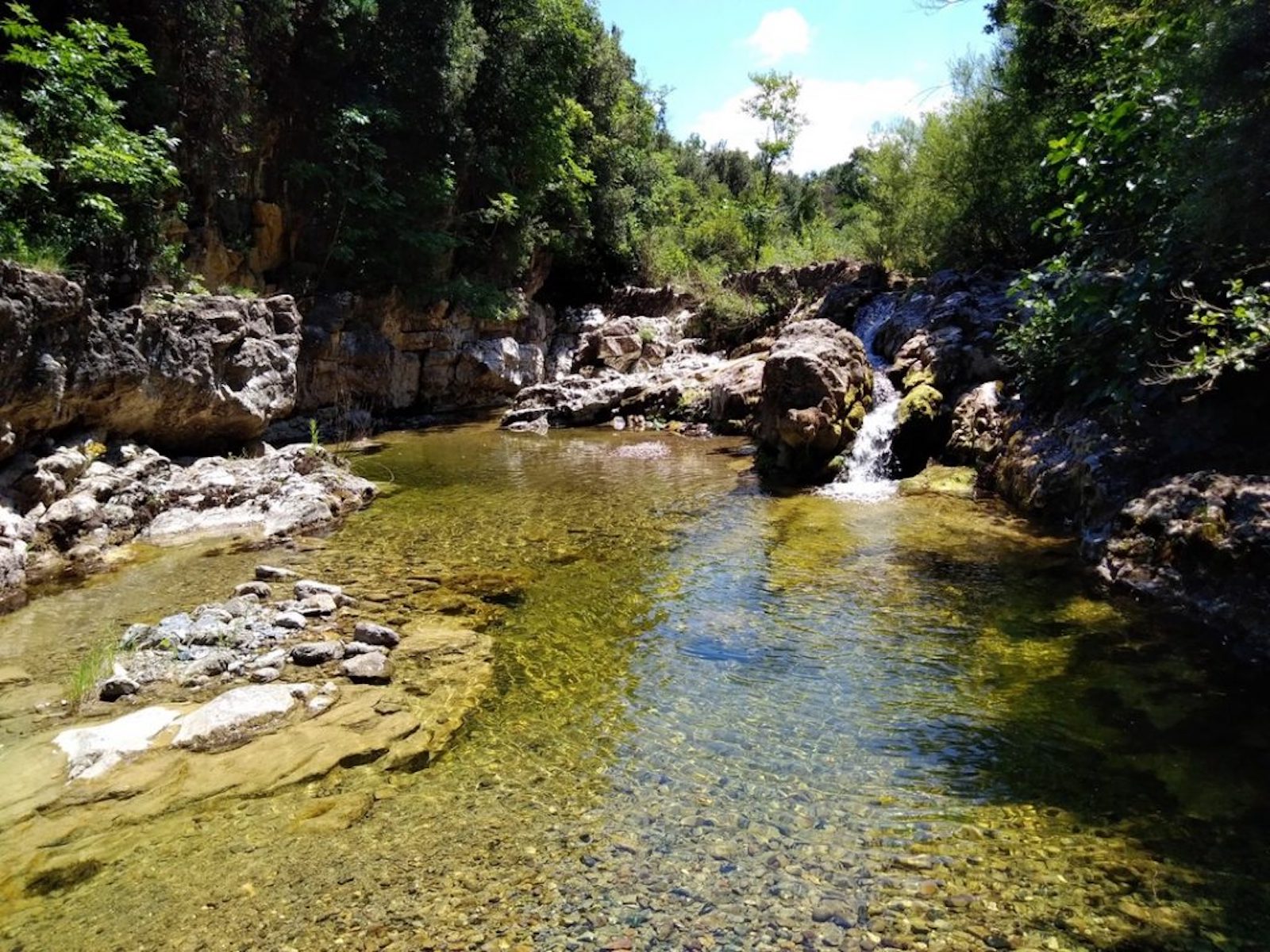 Riserva Naturale Monterufoli-Caselli