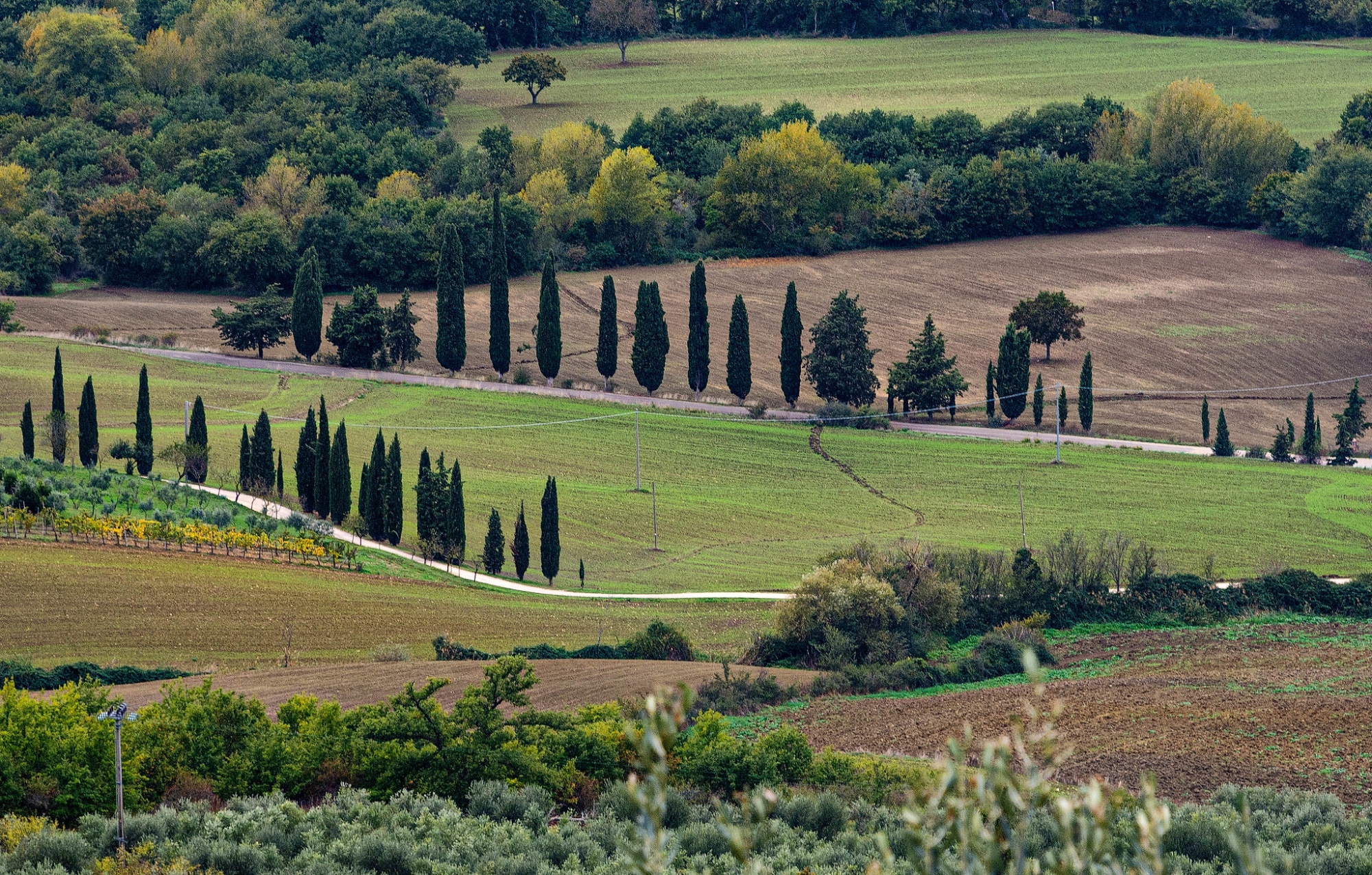 Val d'Orcia - Monticchiello