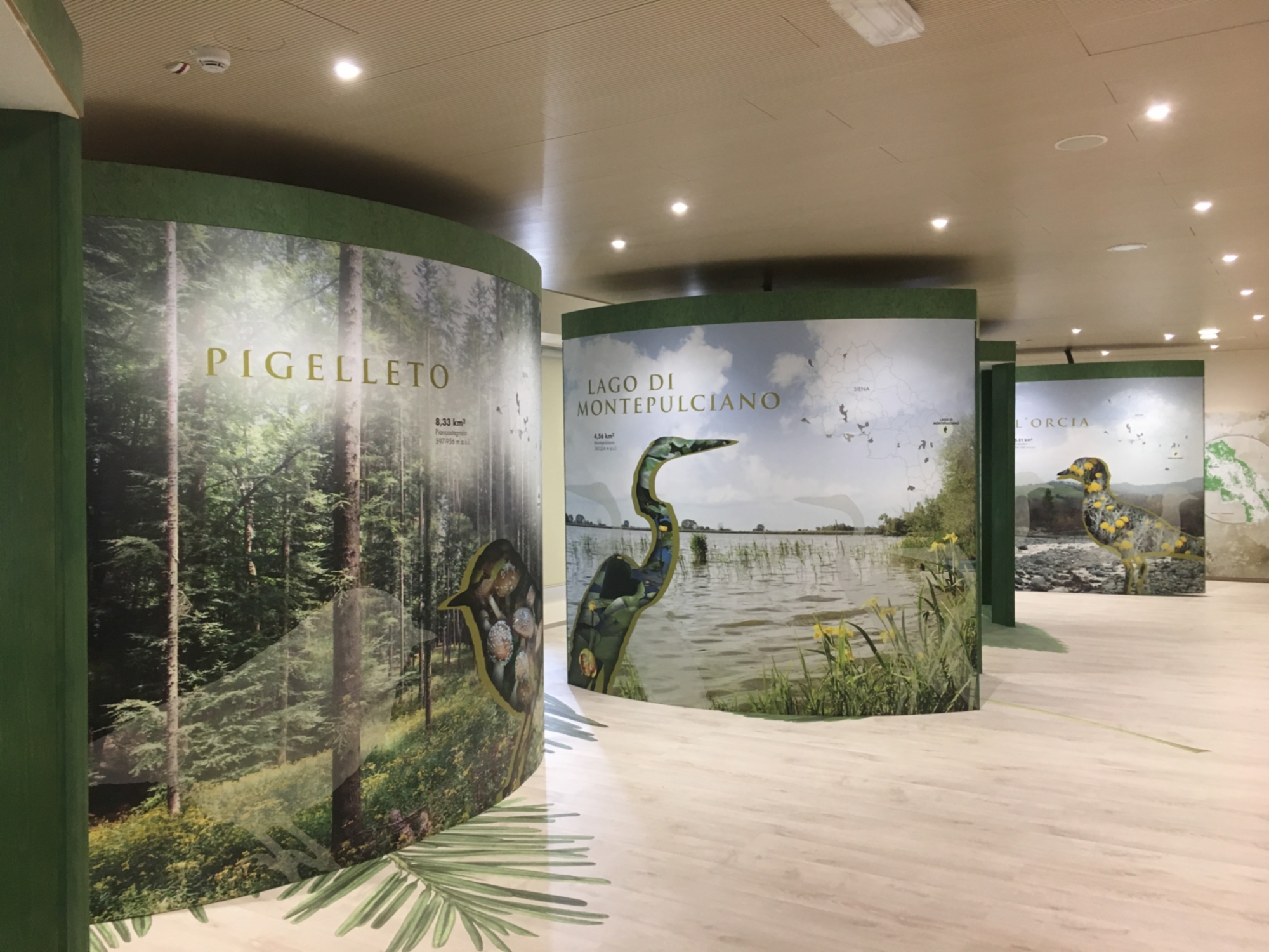 Museo della Biodiversità di Monticiano