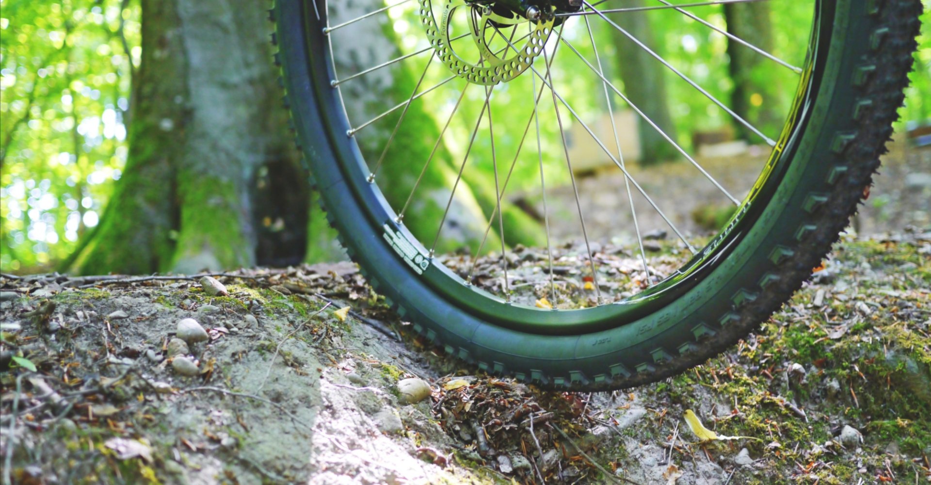 Mountain bike ride on the Montalbano ridge