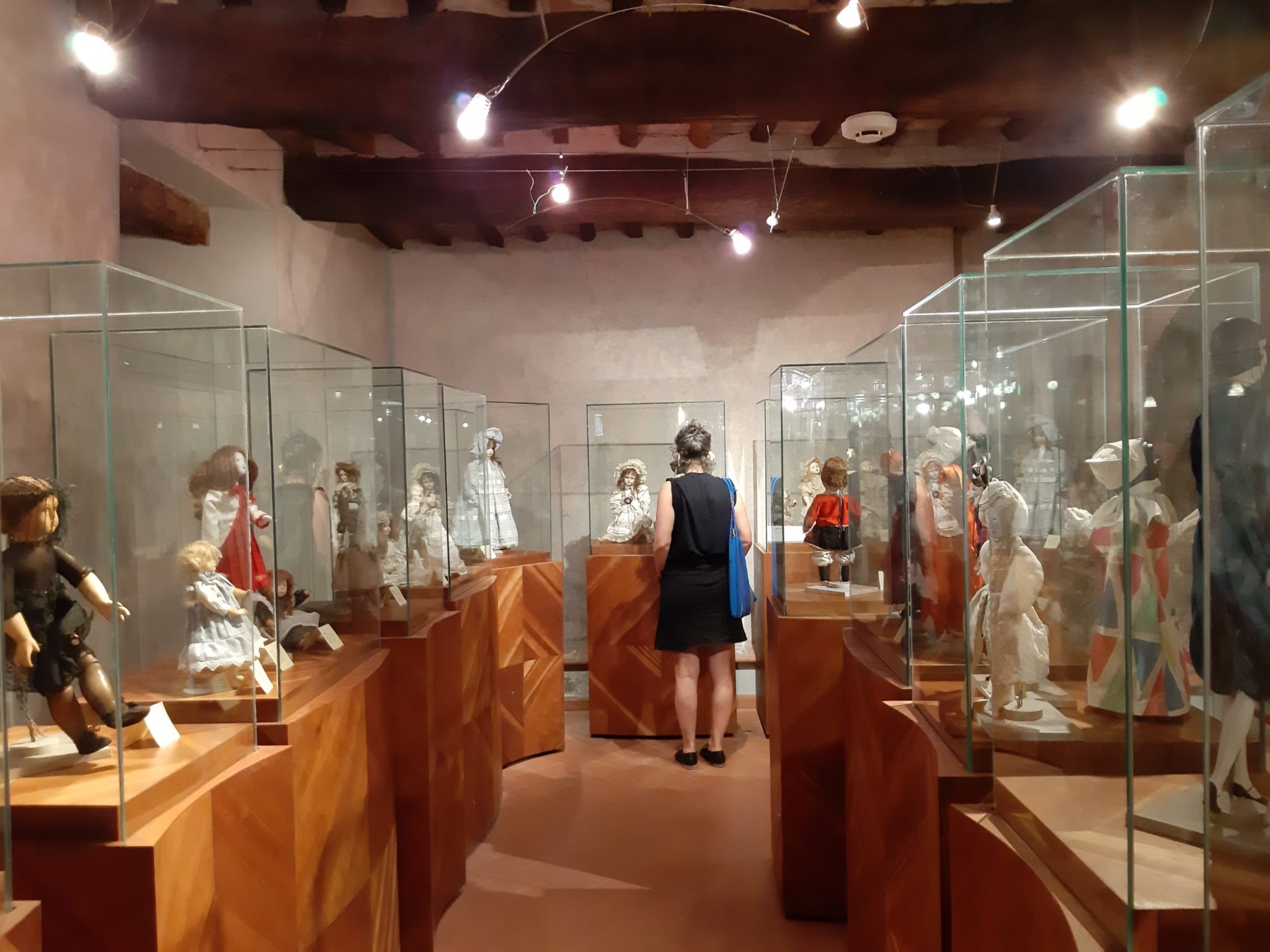 Esposizione di bamole all