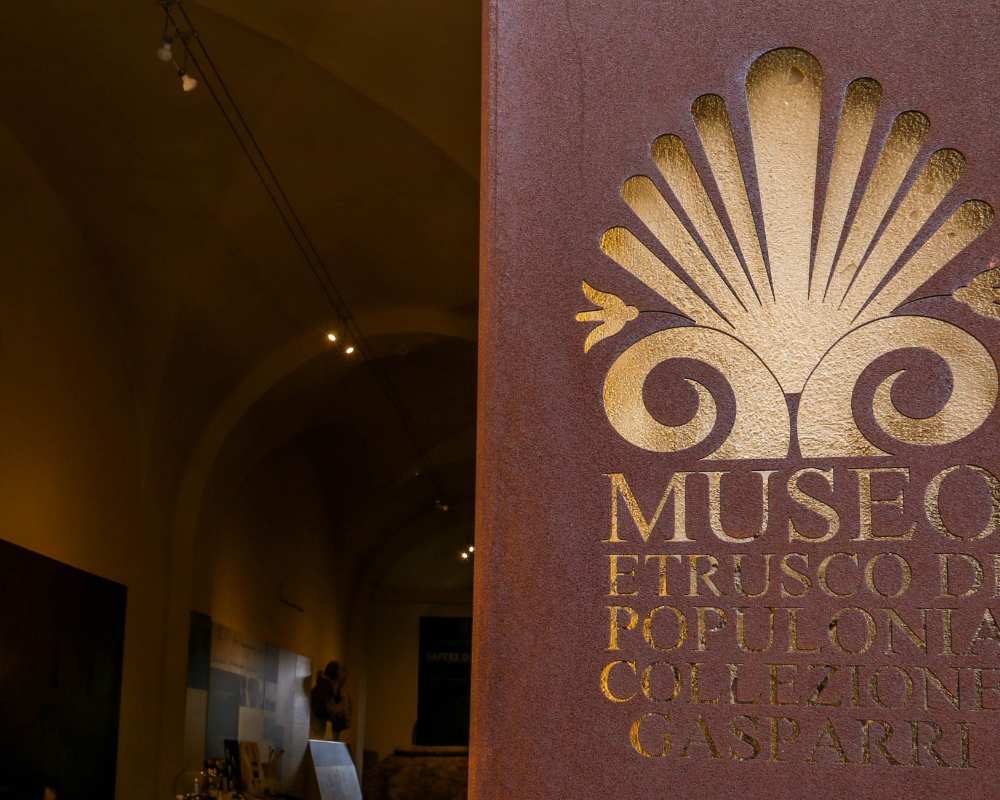 Museo Etrusco Collezione Gasparri
