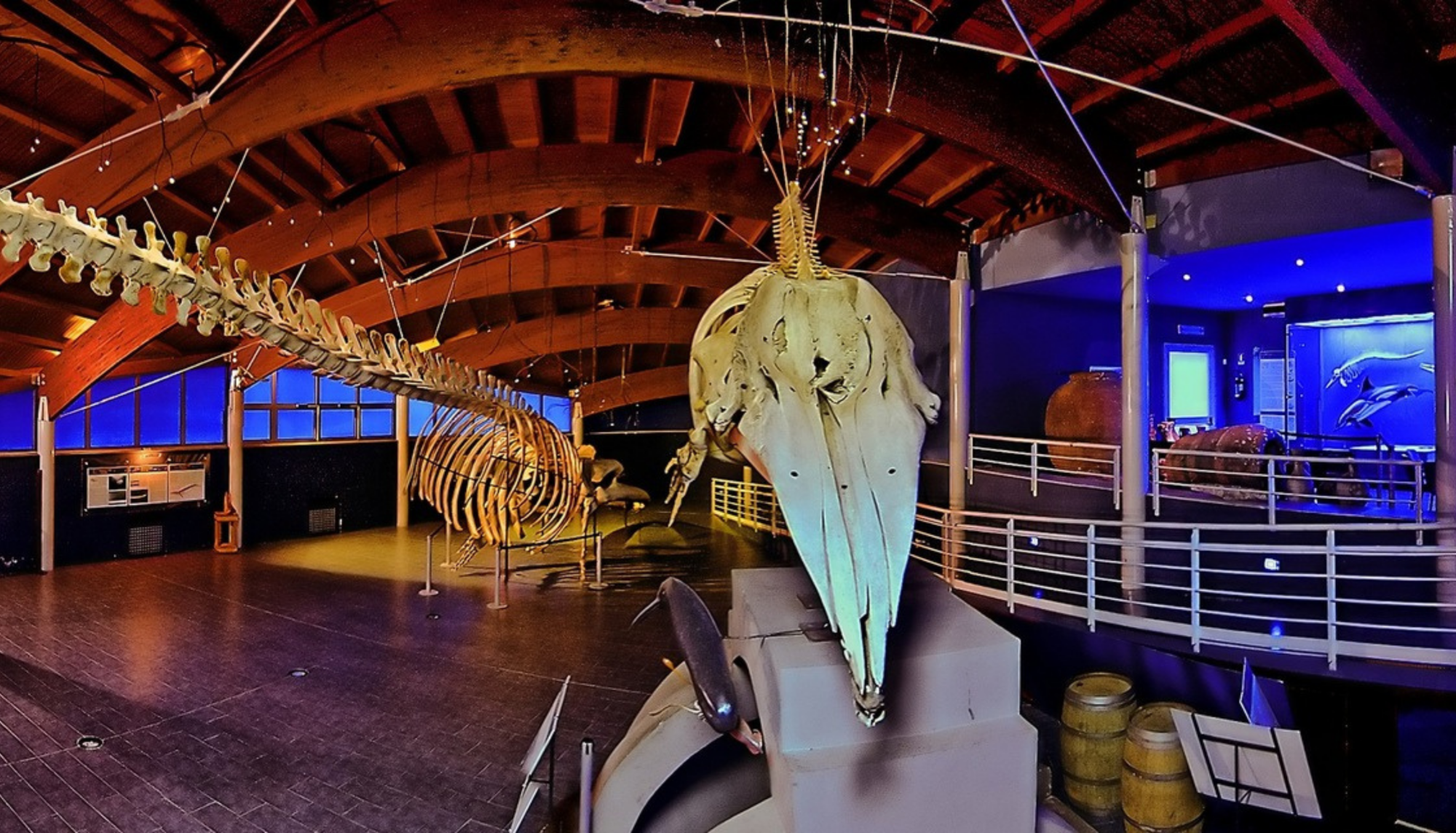 Museum of Natural History of Livorno