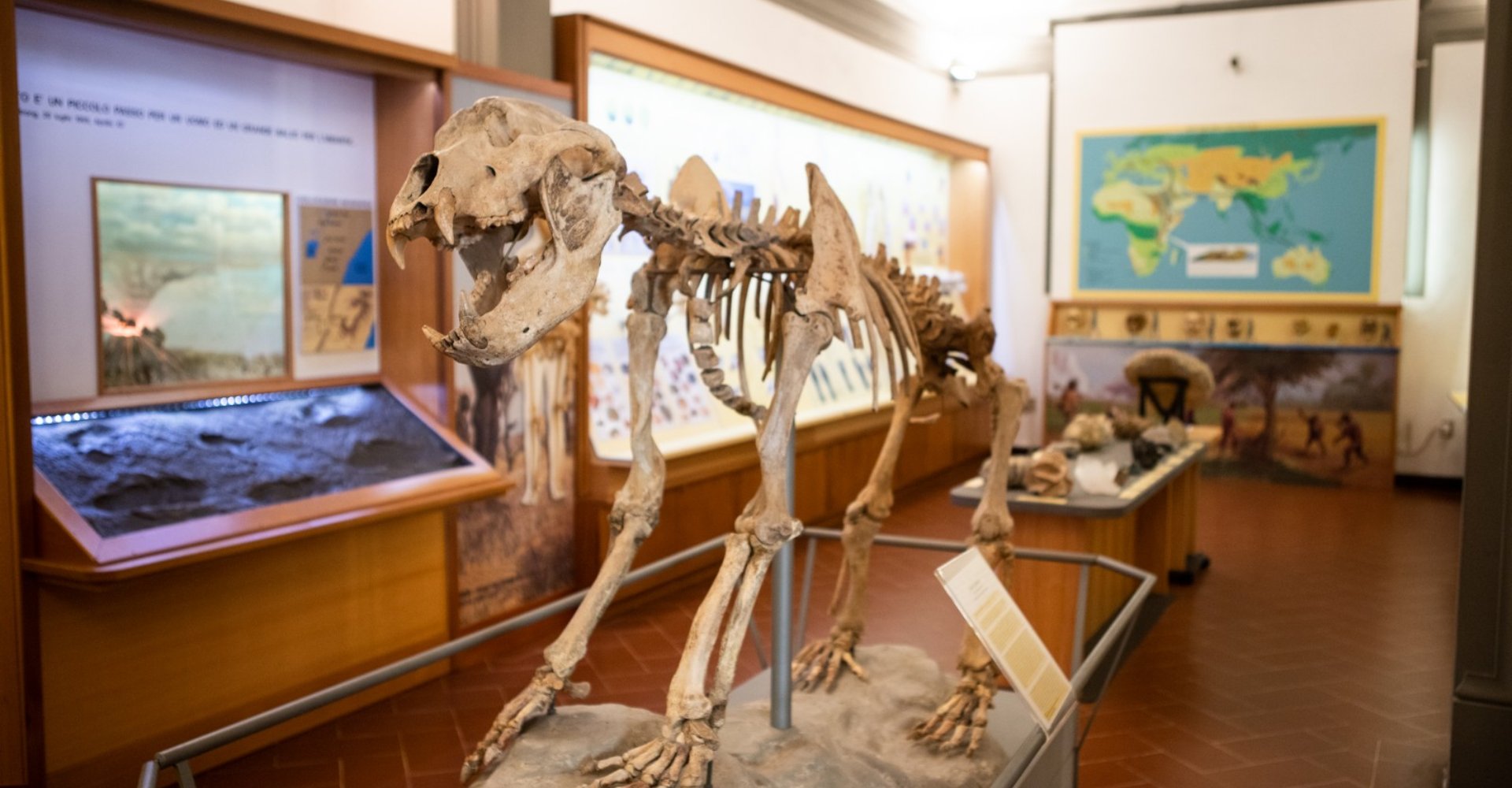 Museo Paleontologico di Empoli
