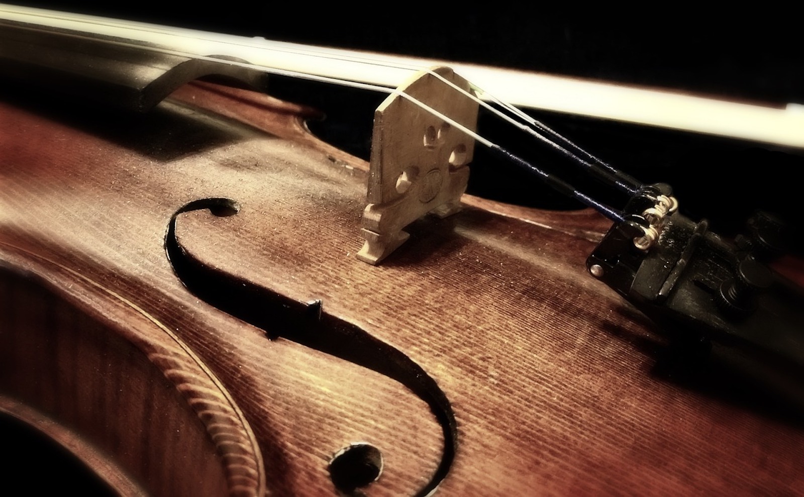 Dettaglio di un violino