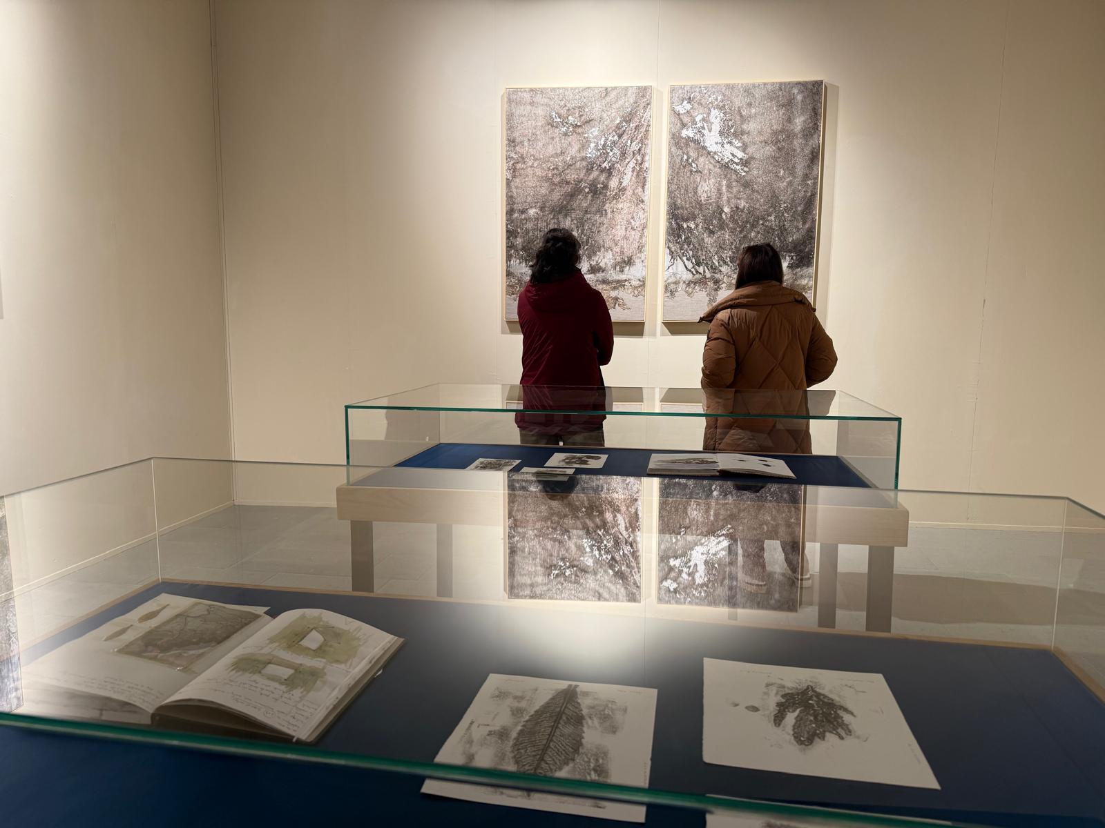 Le Naturografie Roberto Ghezzi