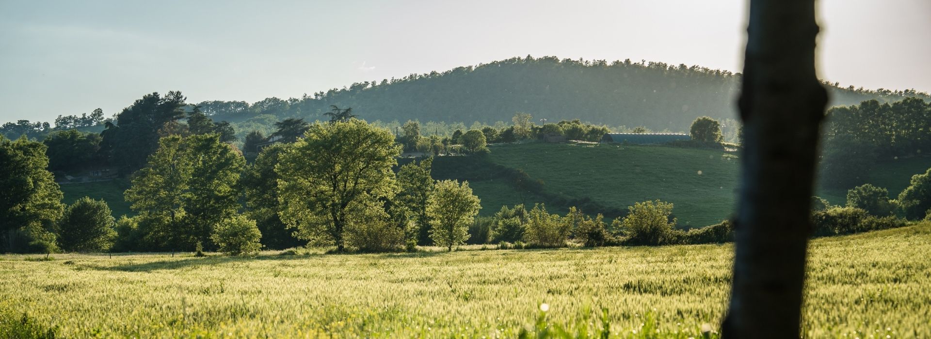 Grande tour della Maremma - Anello Sud