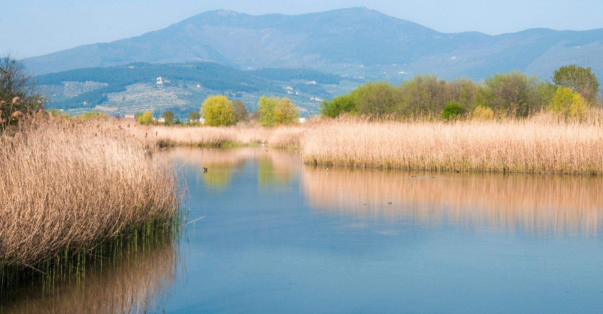 Area Naturale Oasi di Focognano