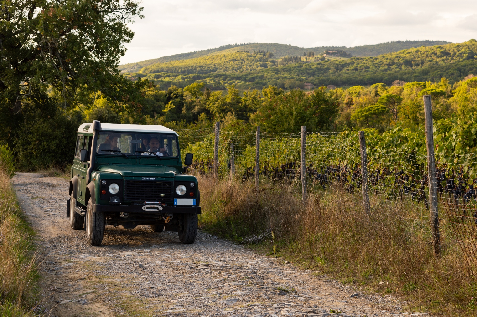 Off road wine tour nel Chianti