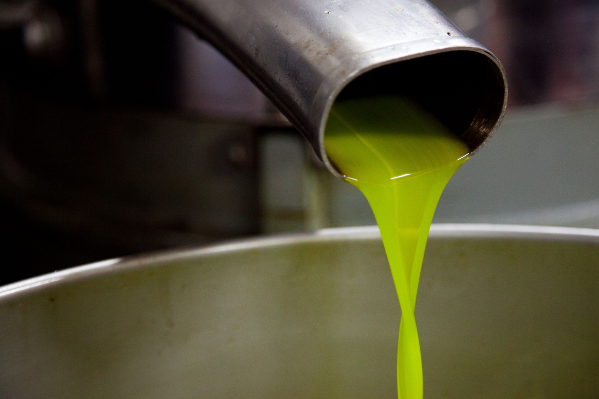Immagine dell'olio appena spremuto, con il suo tipico colore verde