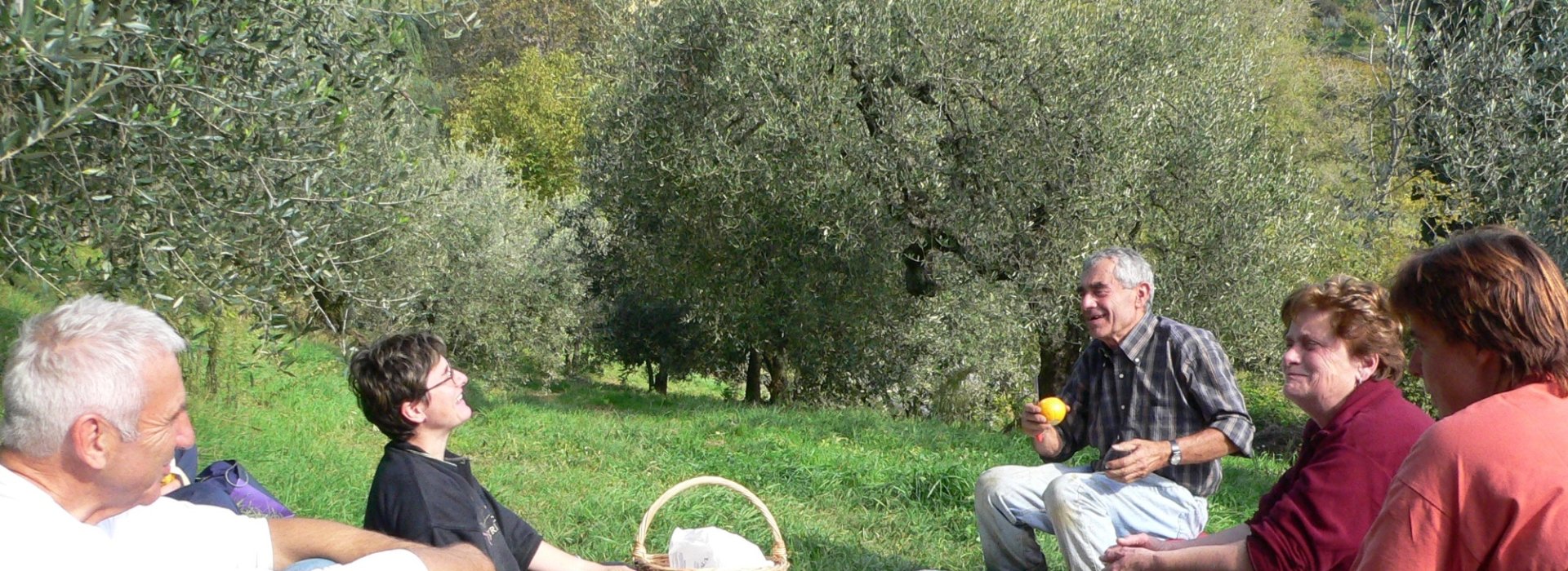 Visite guidate alla scoperta dell'olio extravergine toscano Visite guidate alla scoperta dell'olio extravergine toscano