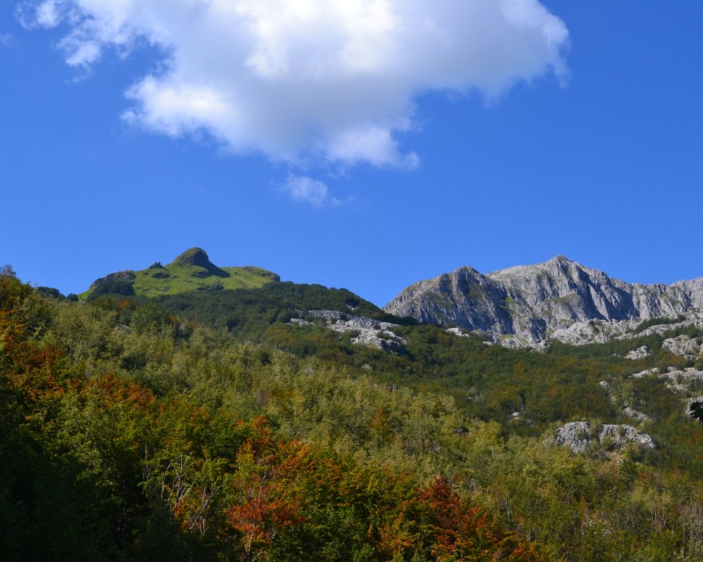 Panorama du massif montagneux des Panie