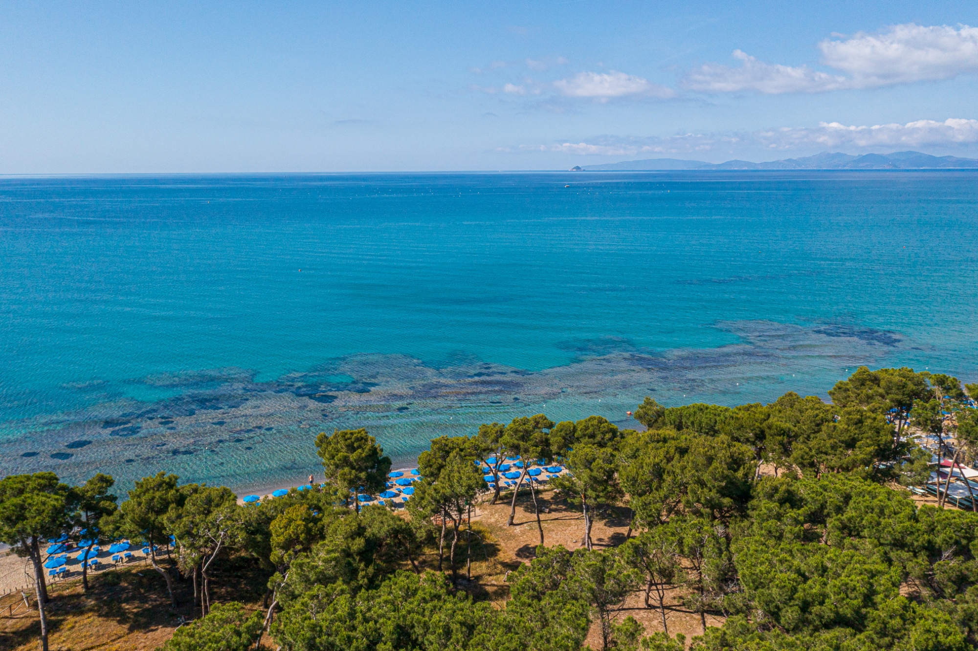 Tour in e-bike dal Parco della Sterpaia a Follonica