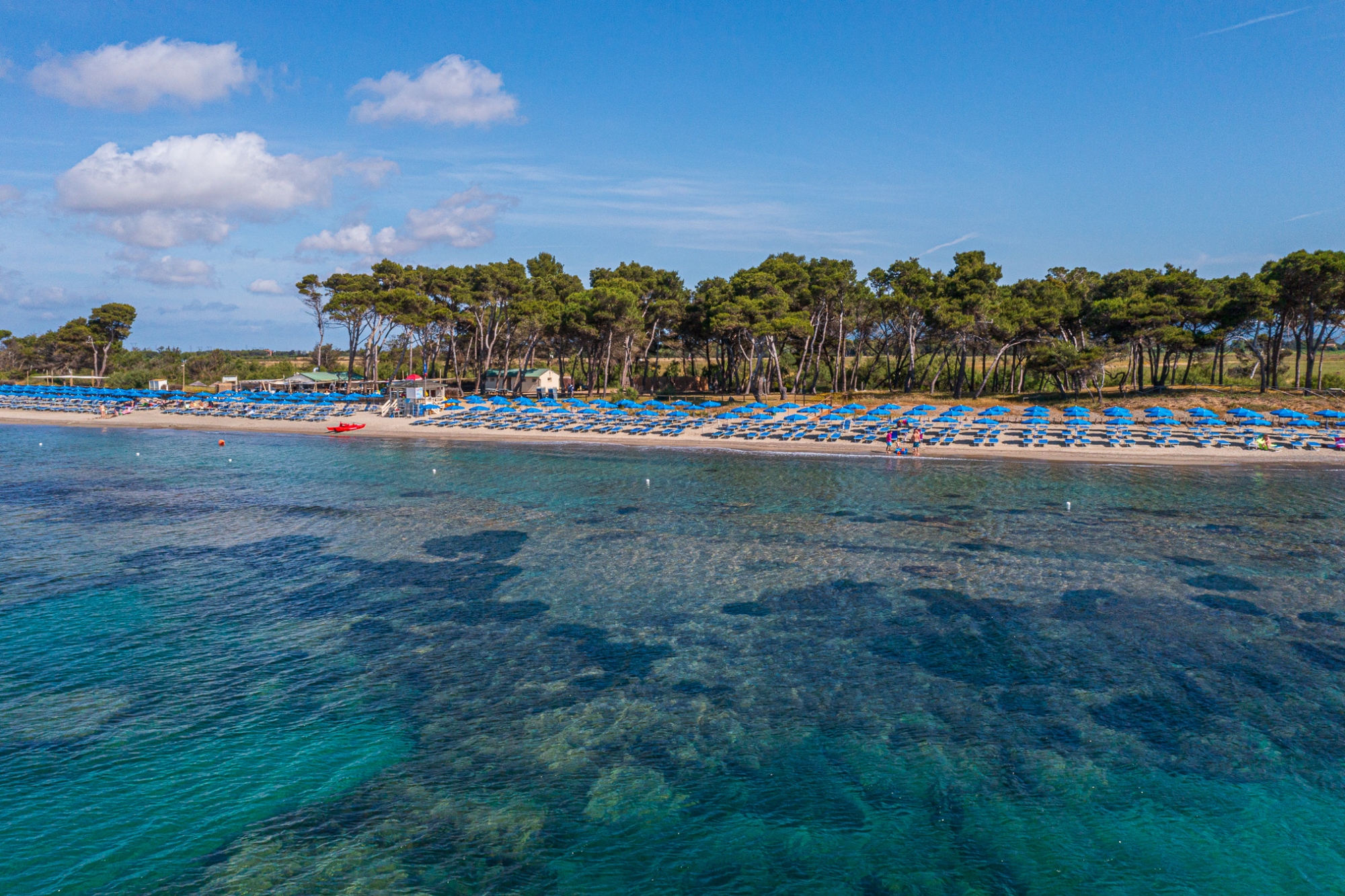 Crystal-clear sea and a beach resort with a pine forest