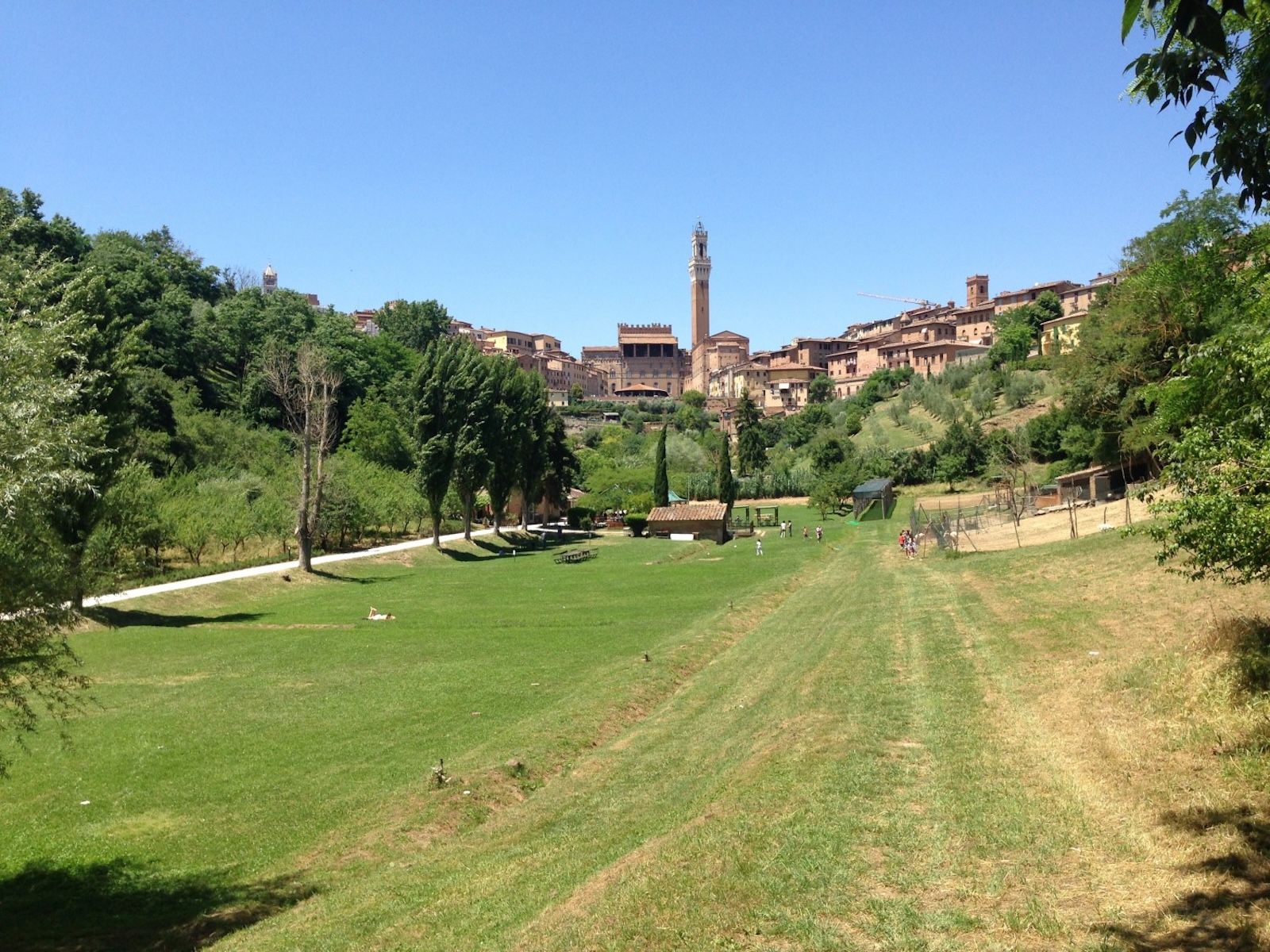 Ampia distesa erbosa dell'Orto de' Pecci a Siena. In primo piano si trova il grande prato mentre sullo sfondo, si staglia il fitto tessuto urbano medievale in mattoni della città