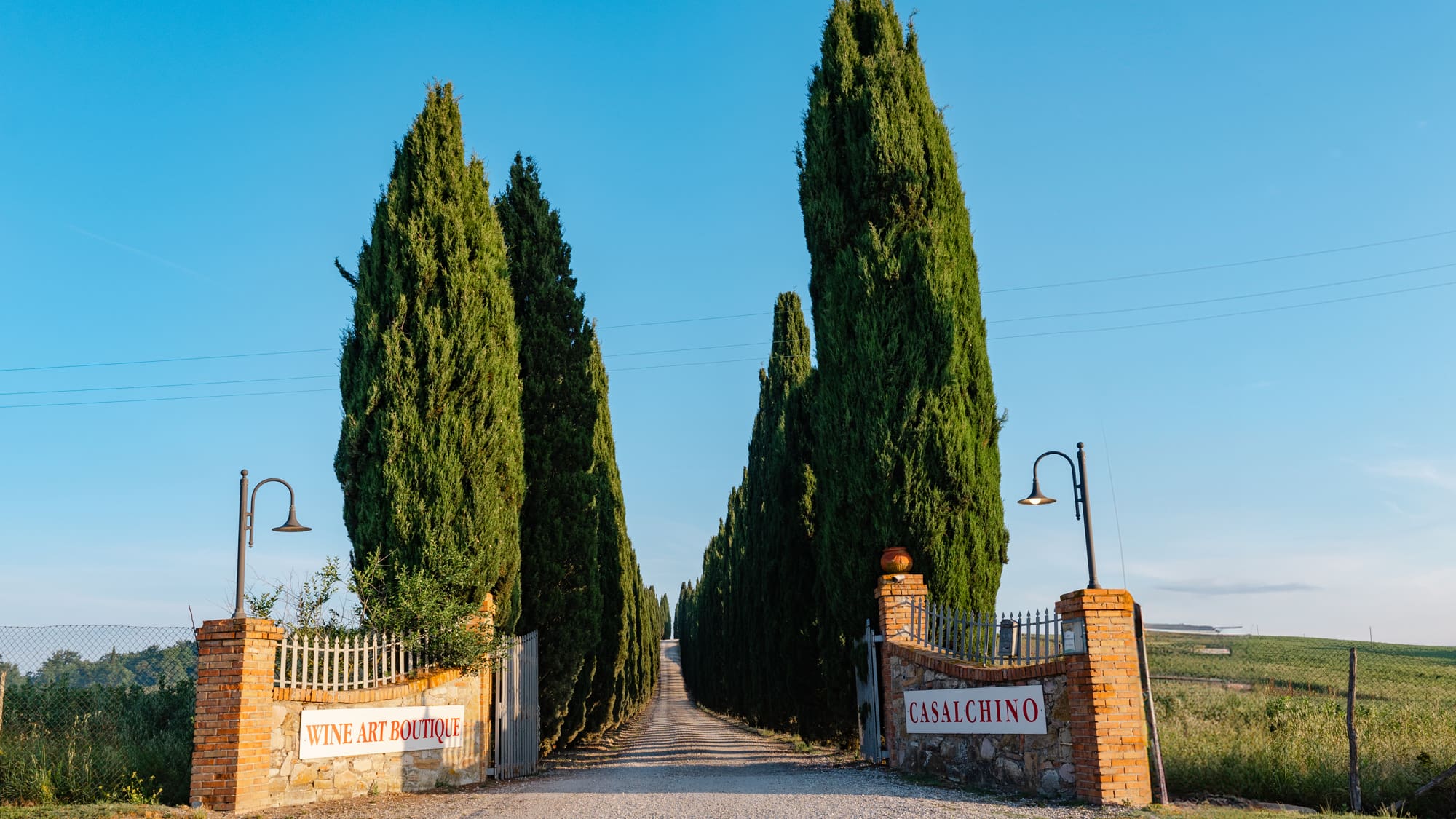 A sensory journey to discover the Vernaccia di San Gimignano DOCG