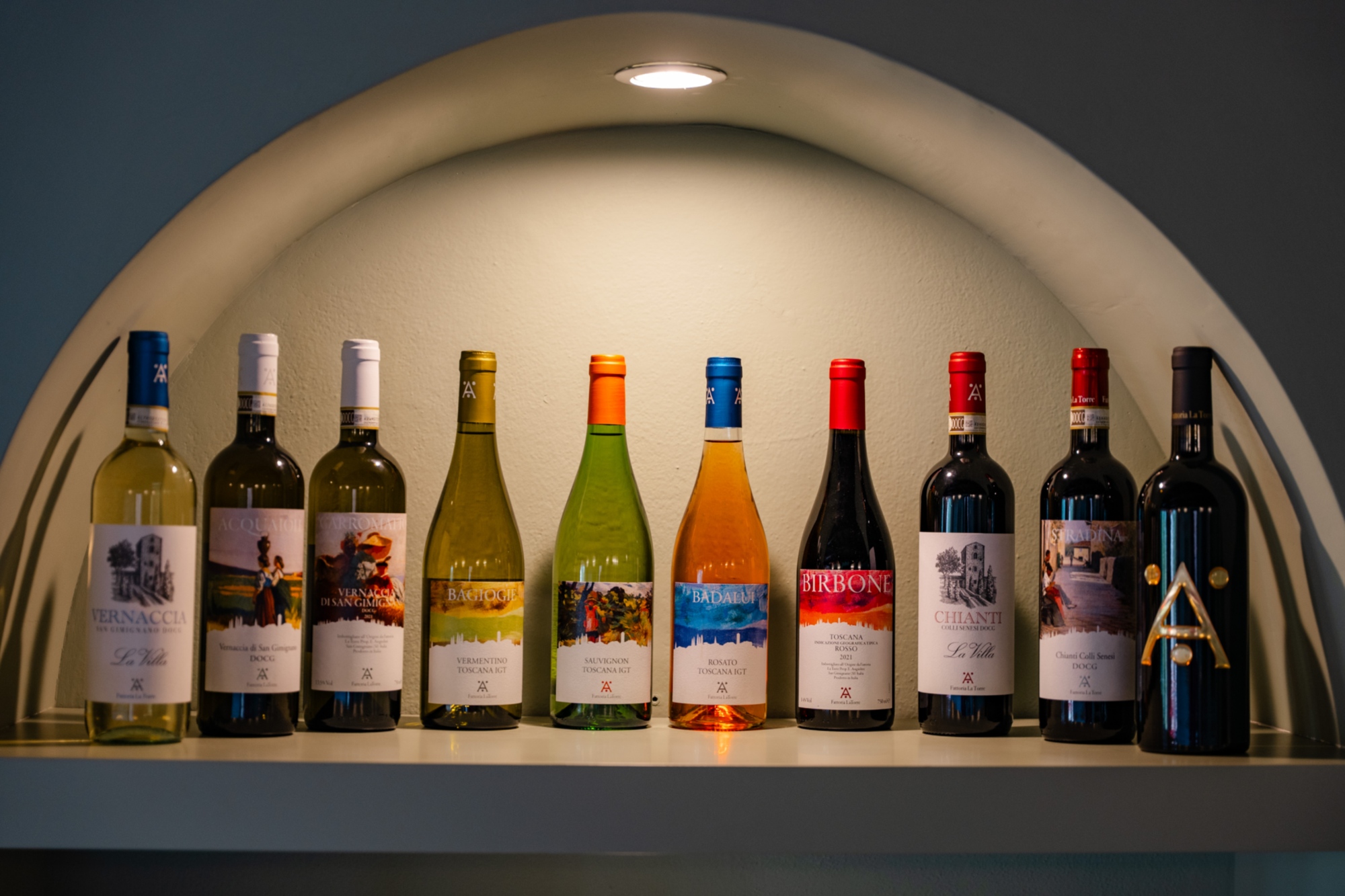 Tasting of all wines produced by Fattoria La Torre in San Gimignano