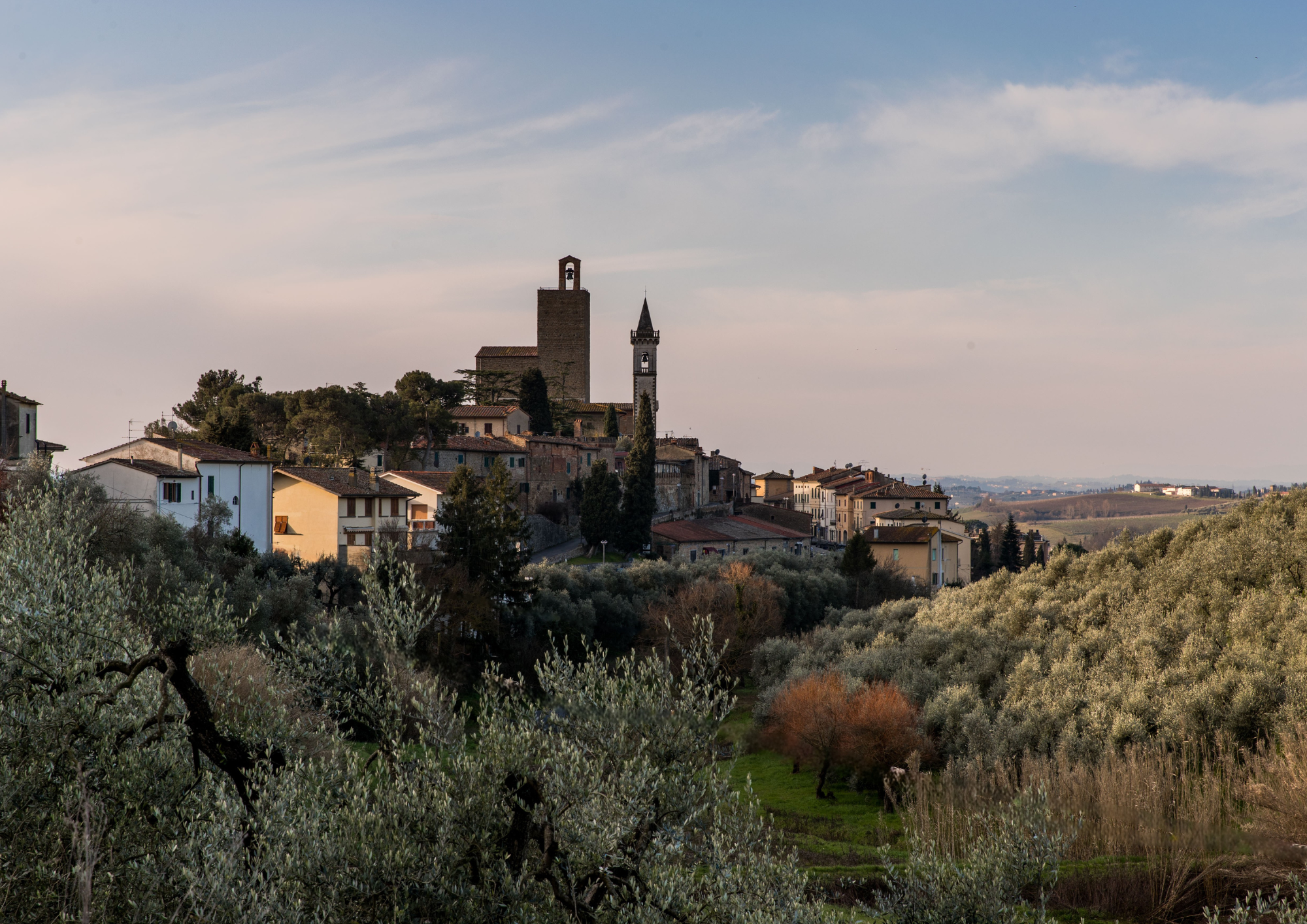 Immagine panoramica di Vinci