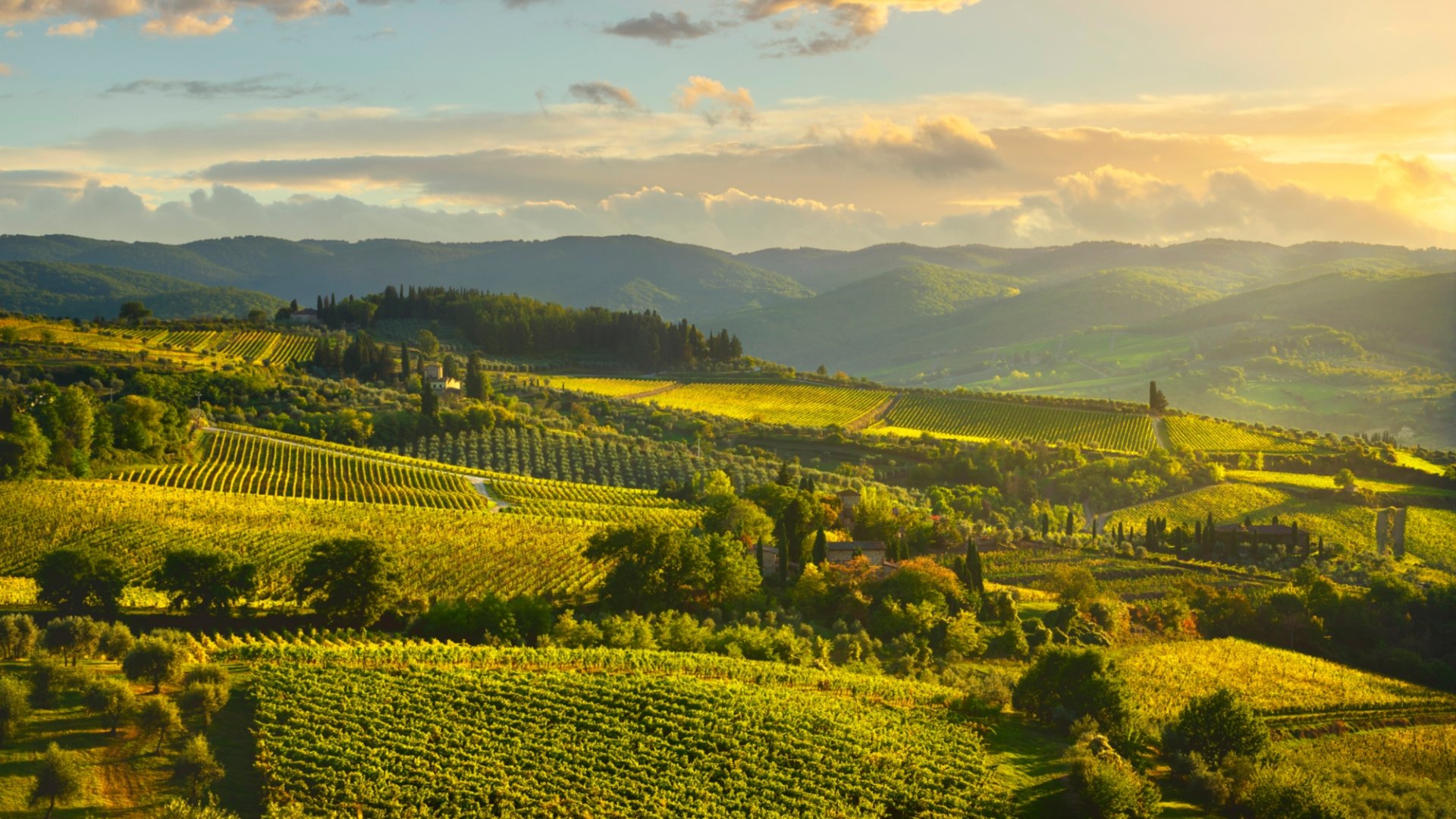The territory of Panzano in Chianti for a relaxing holiday