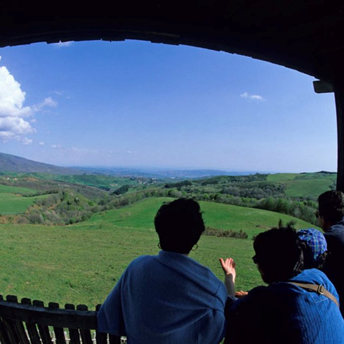 Esperienza di visita al Parco Faunistico & Monte Labro, alle pendici del Monte Amiata Esperienza di visita al Parco Faunistico & Monte Labro, alle pendici del Monte Amiata