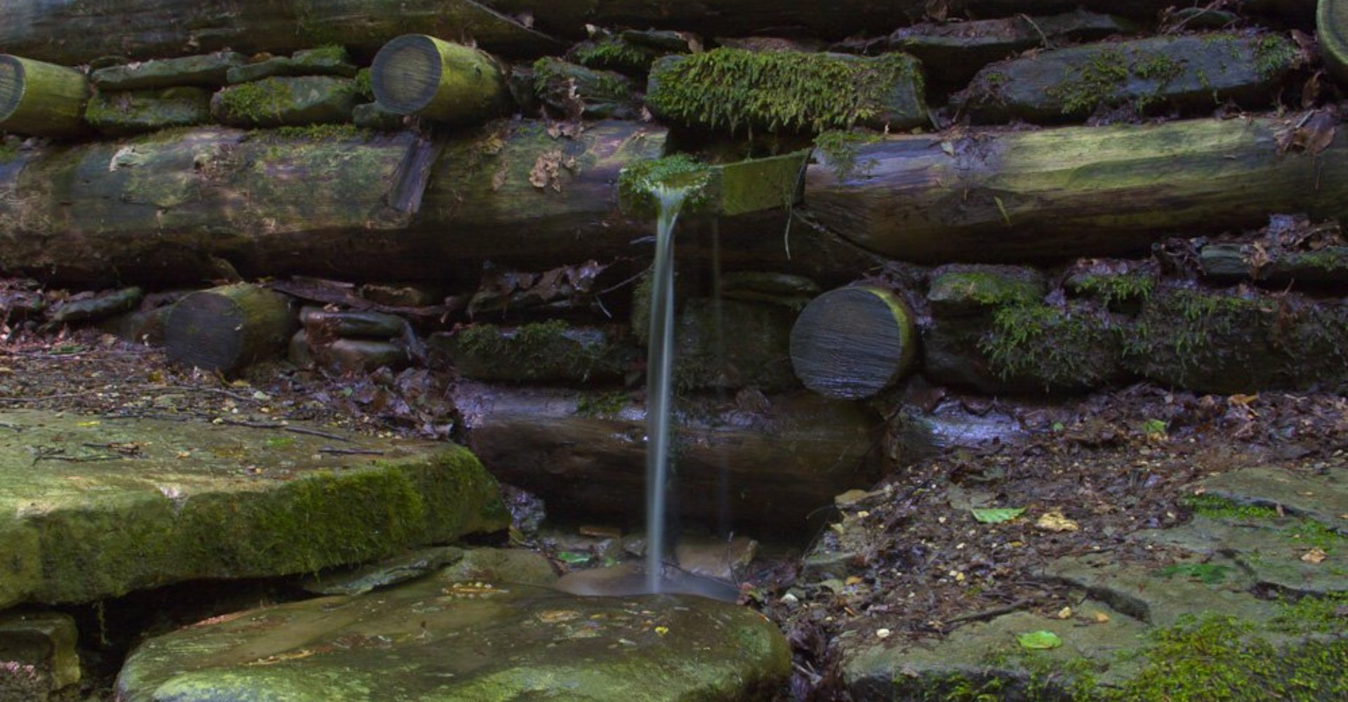 Acqua nel Parco del Casentino
