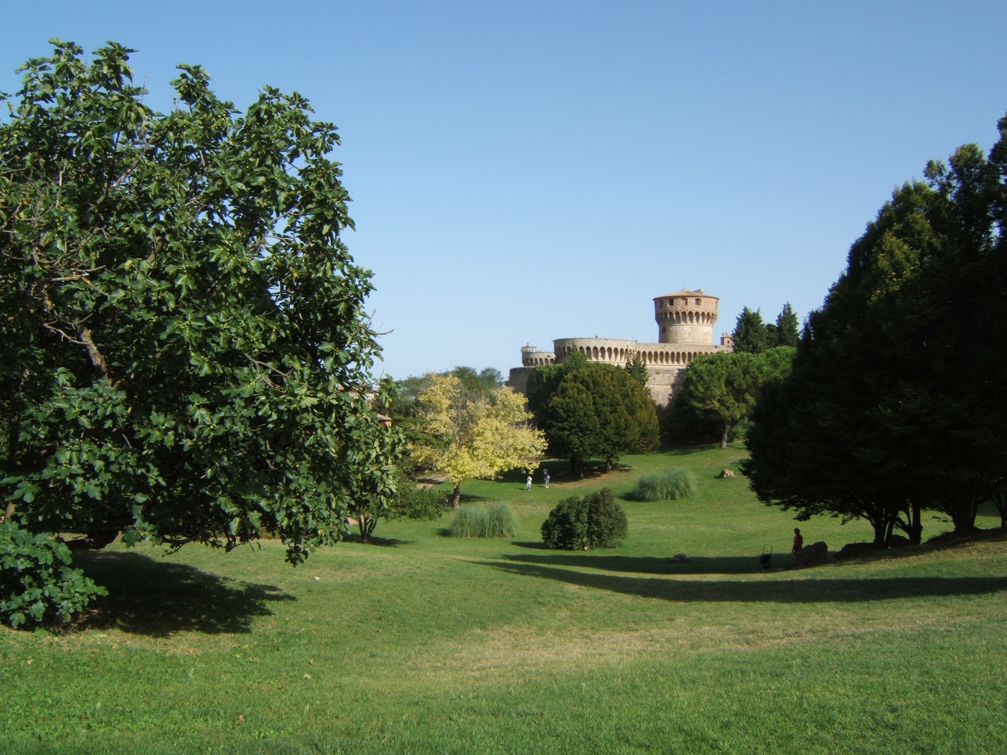 Il Parco Enrico Fiumi a Volterra. In primo piano si estende un ampio prato verde incorniciato ai lati da grandi alberi frondosi e piccoli arbusti. Sullo sfondo si erge l'imponente Fortezza Medicea con le sue mura merlate