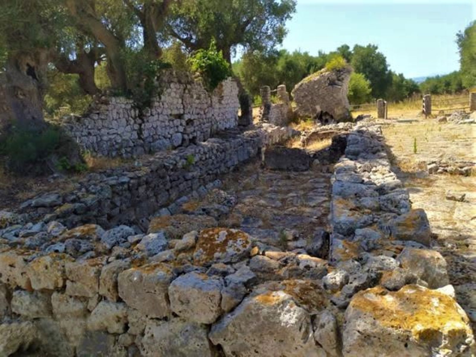 Immagine dello scavo del parco