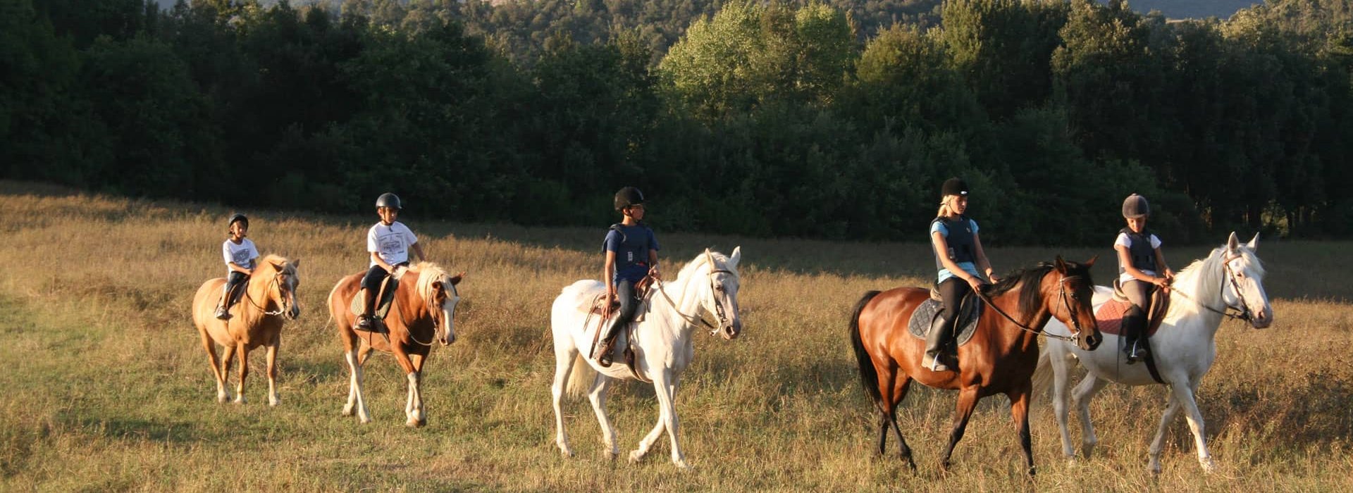 Gita a cavallo in Toscana Padule di Fucecchio Gita a cavallo in Toscana Padule di Fucecchio