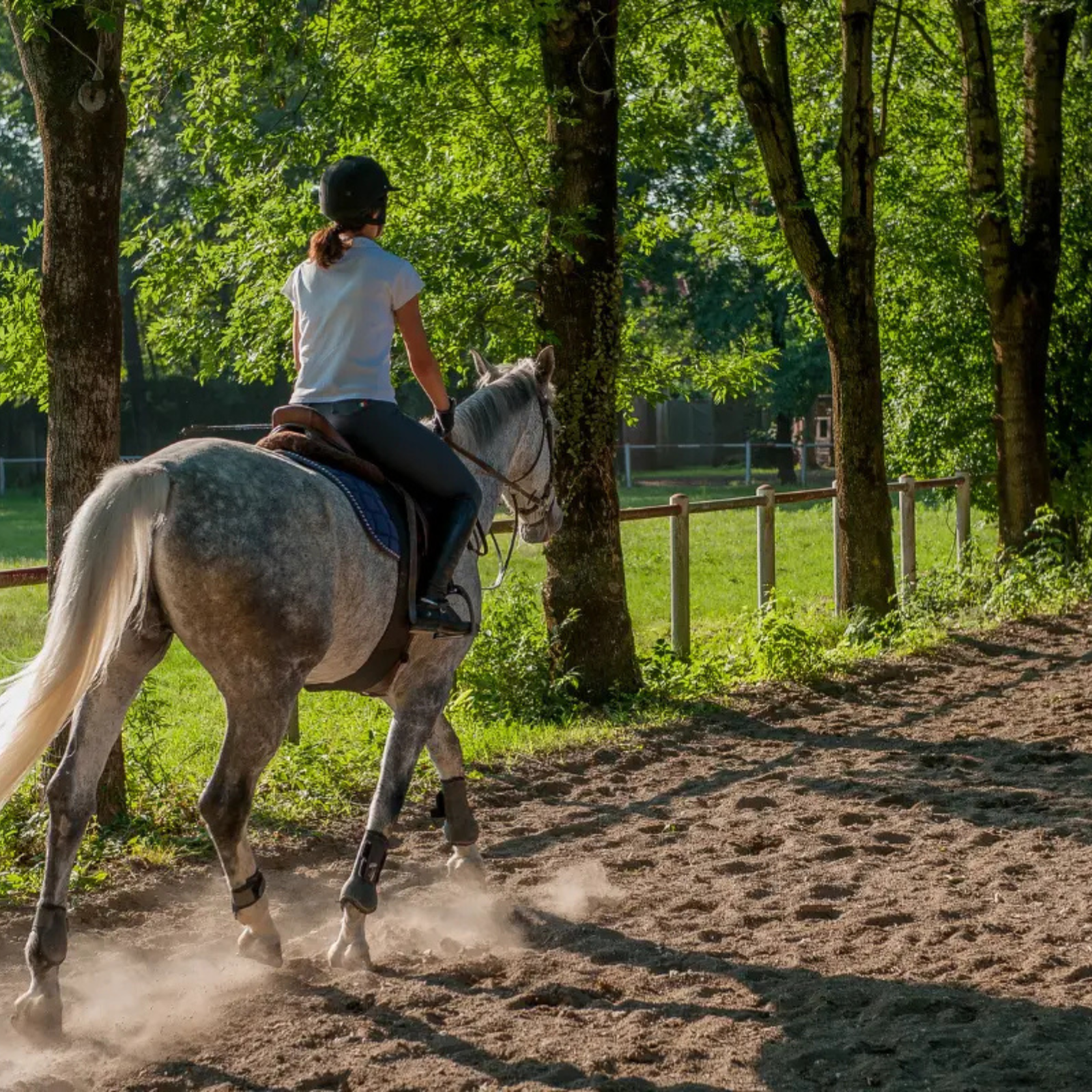 Horseback riding towards the two lakes