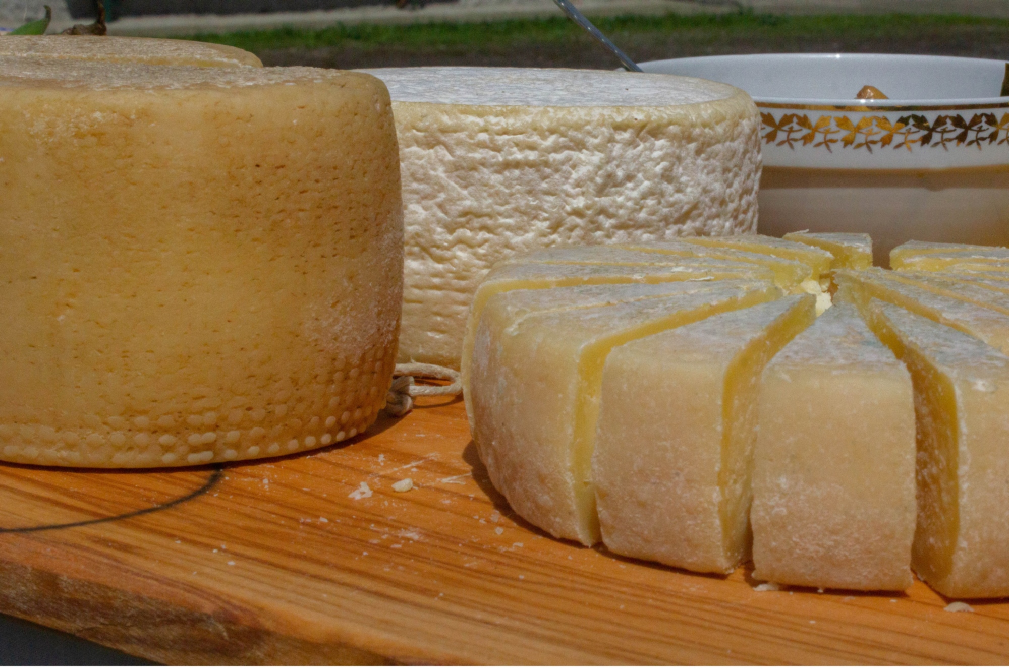 Dalla mungitura alla preparazione del formaggio, un’esperienza all’aria aperta assaporando antichi saperi in Alta Lunigiana