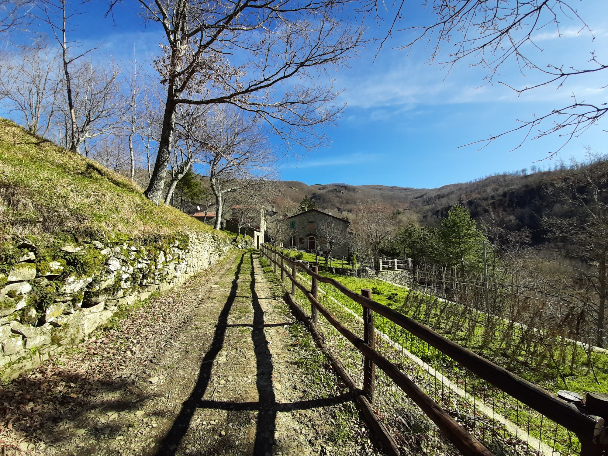 Seven days in the footsteps of Saint Francis from Florence to Chiusi della Verna