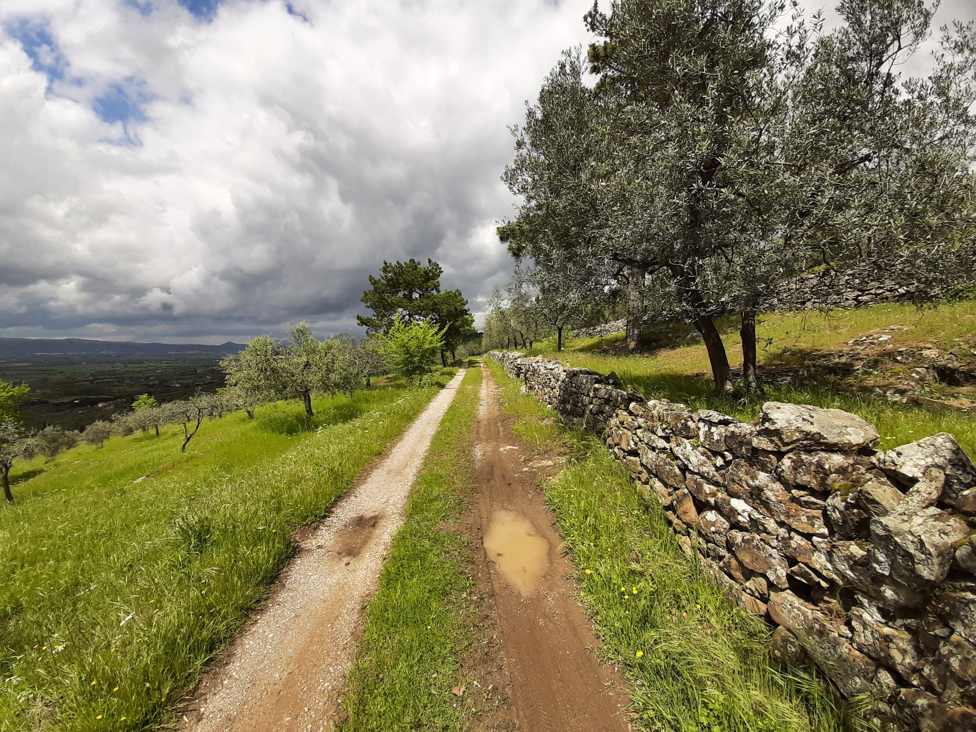 Explore on foot the Via Romeo Germanica, from La Verna to Castiglion del Lago