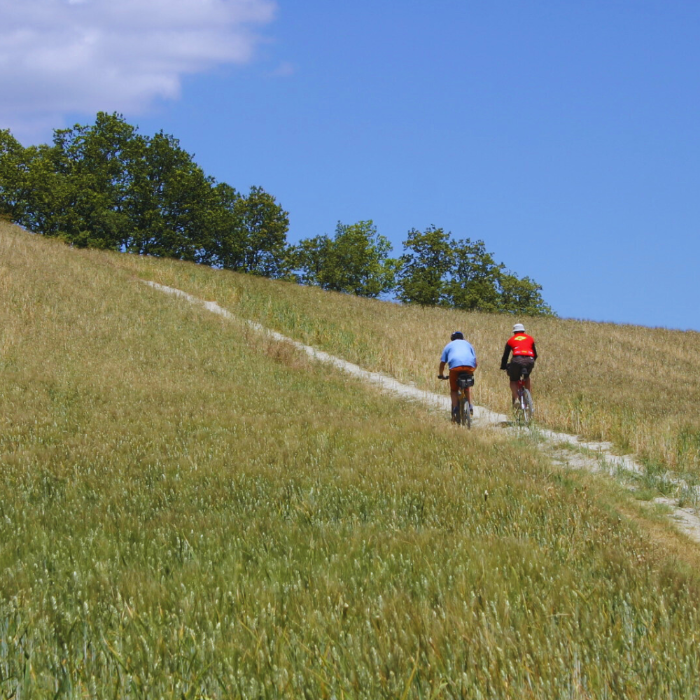 Cinque giorni in bici in Val d'Orcia