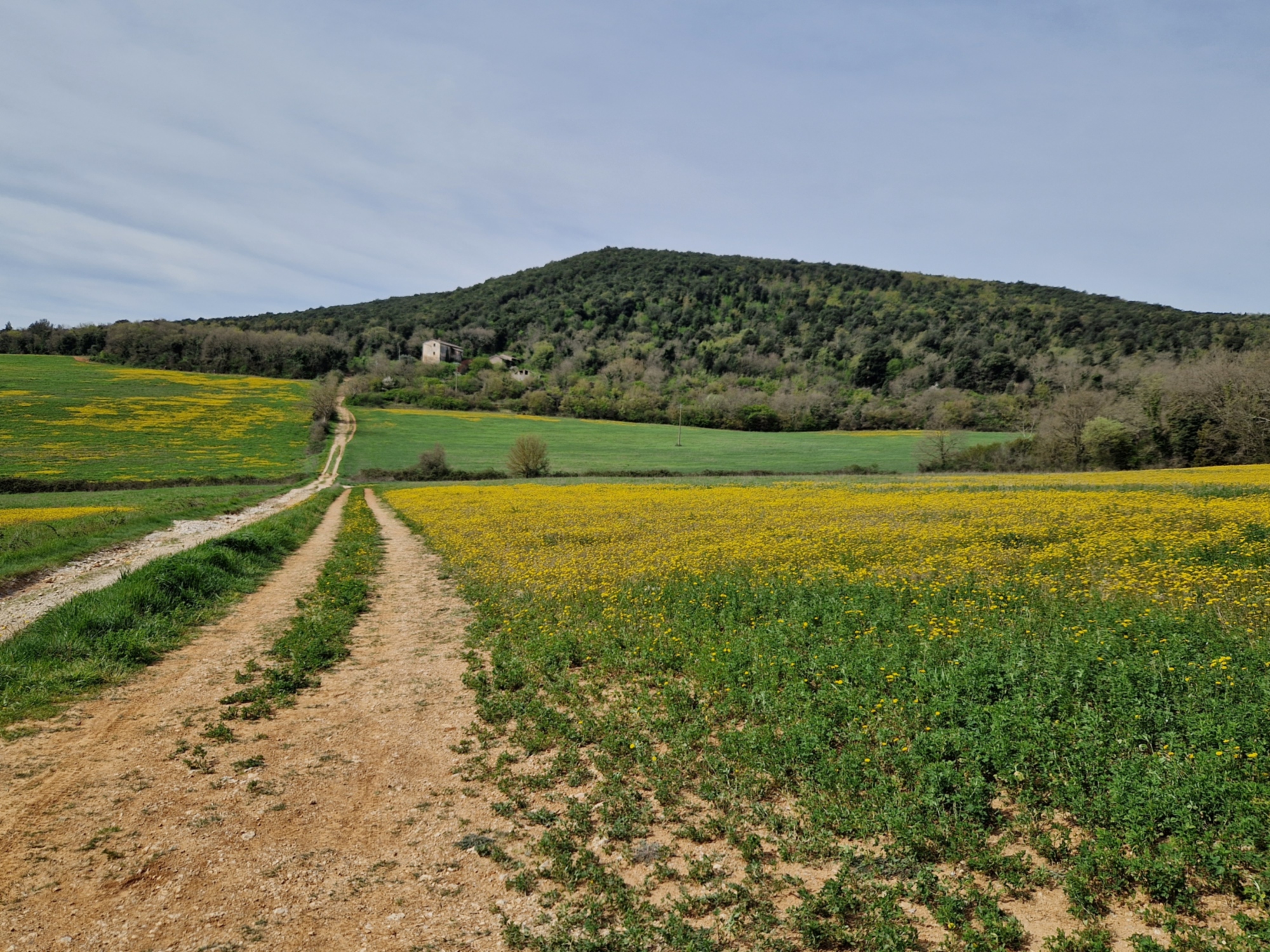 Un tratto della Via Francigena