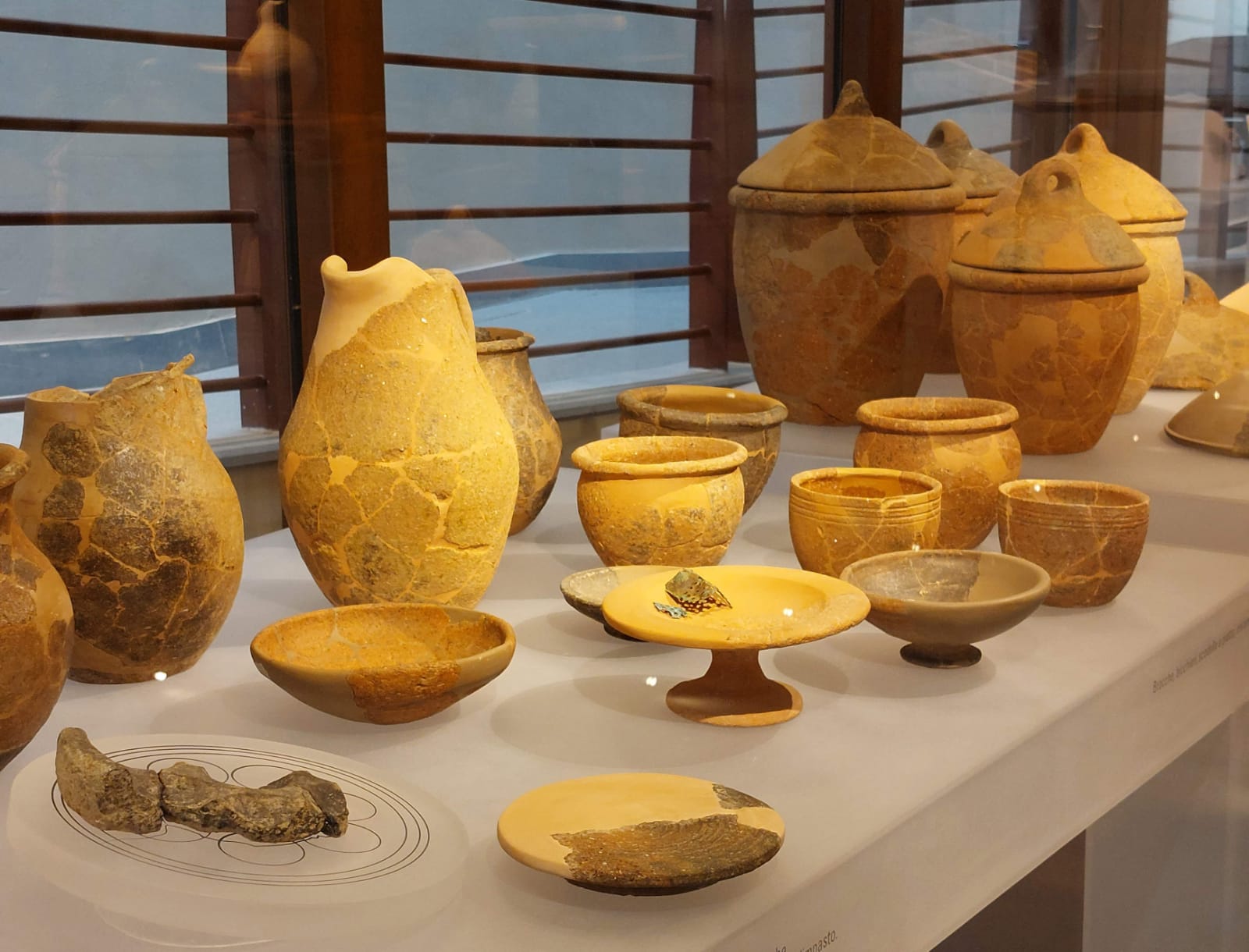Esposizione di vasi etruschi al Museo Archeologico di Gonfienti